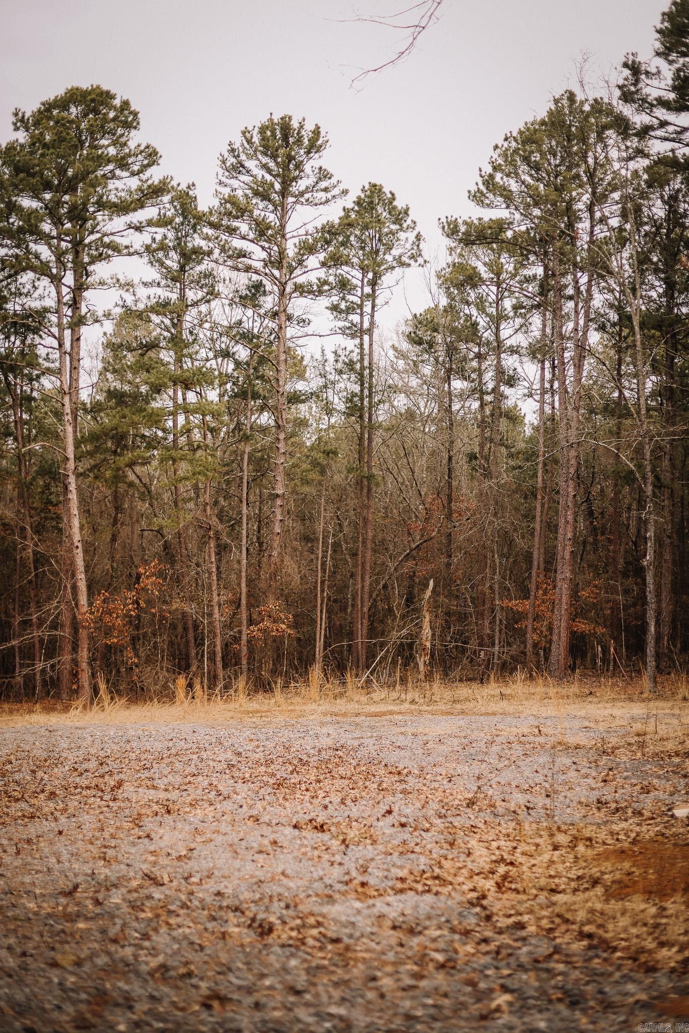 Driftwood Shores Estates - Land