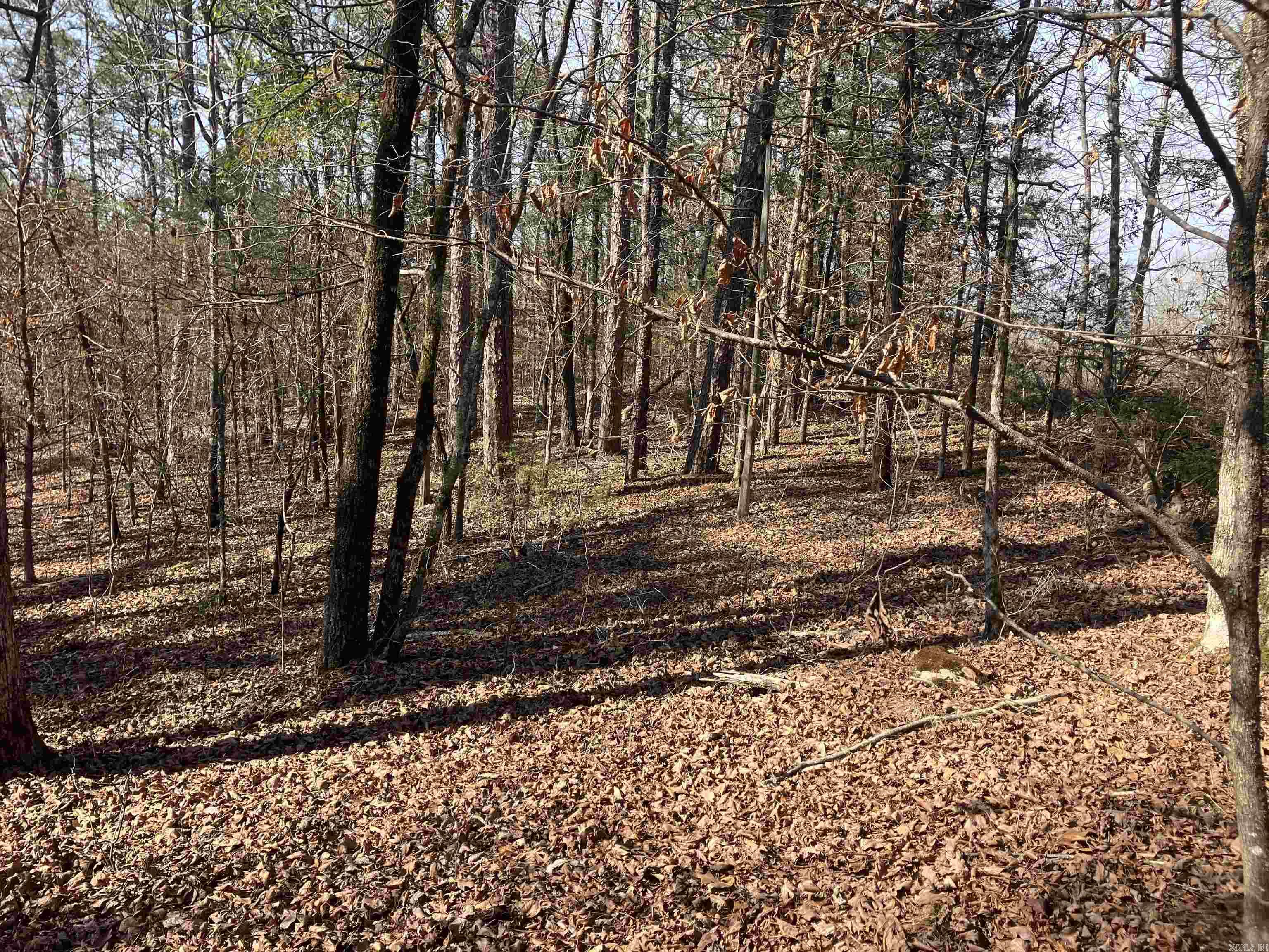 Pencil Bluff - Land