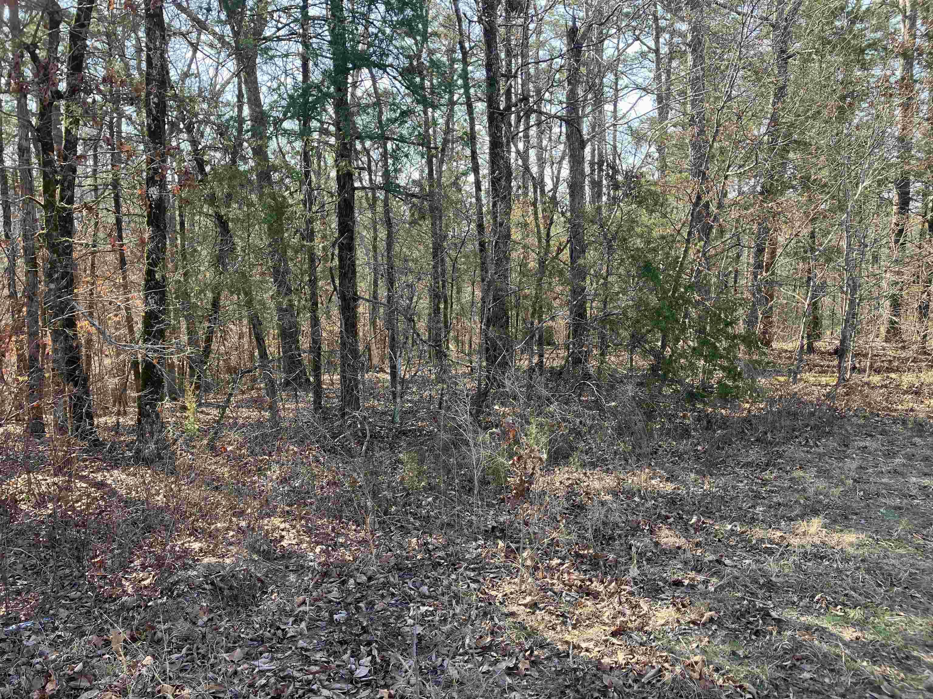 PRICE REDUCTION! Motivated seller. 4.11 acres close to Pencil Bluff. Five minute walk to Ouachita River or ride your 4 wheeler or side by side. Access is for property owners only. Great place to swim, picnic or just take it easy! This wooded property is ready to build a home on. 10 minutes to hiking/biking trails.20 minutes to Lake Ouachita. 50 minutes to Hot Springs. Short drive to several Crystal mines. Close to Ouachita National forest. If you are looking for rural property, you need to look at this! Deed restrictions are on the property.