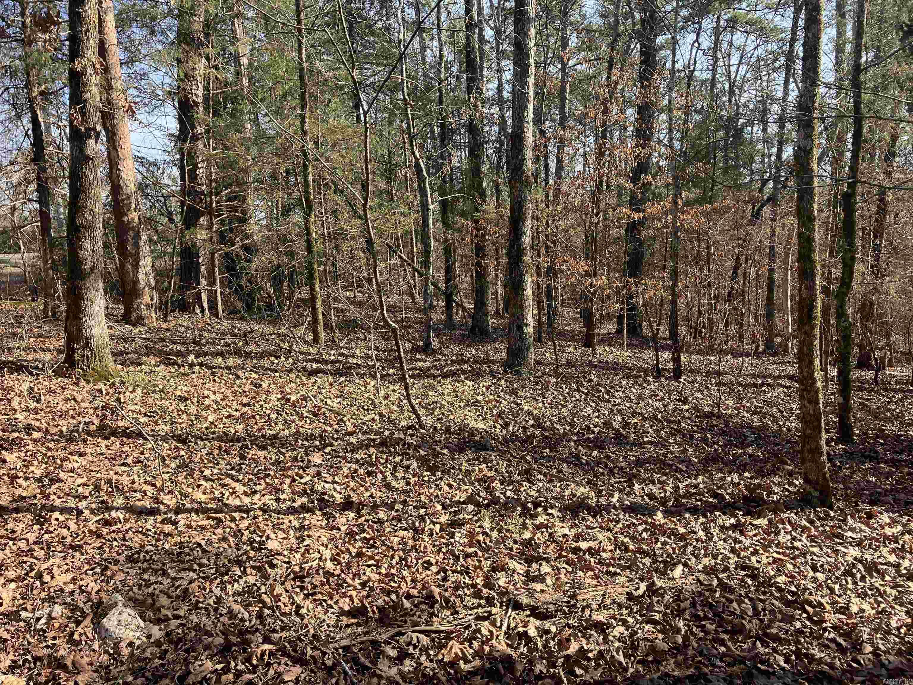 Pencil Bluff - Land