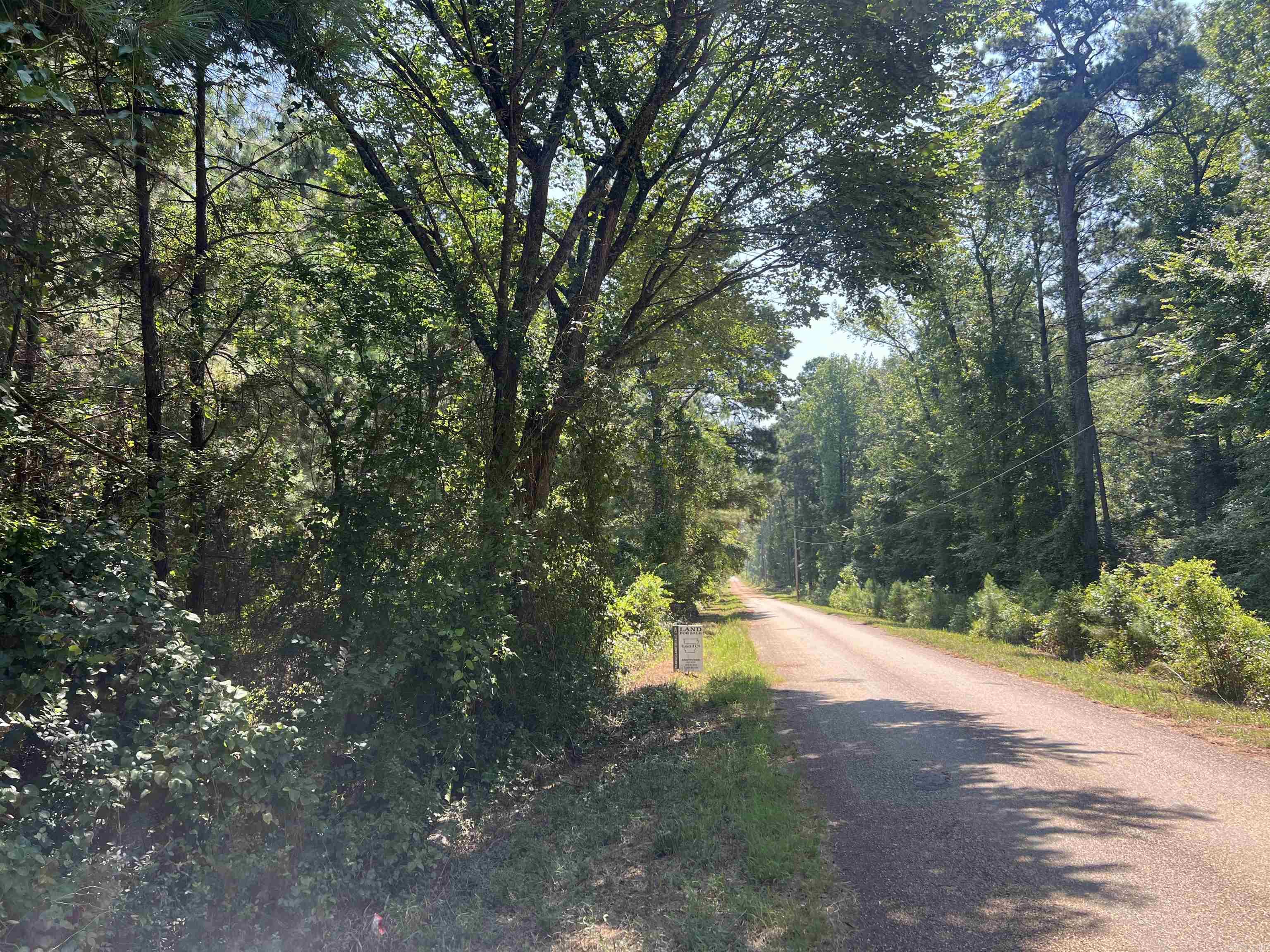 Discover the perfect combination of investment potential, recreation, and country living with this beautiful 36± acre tract located on Kelly Avenue just outside Sparkman, Arkansas. Featuring approximately 774 feet of paved road frontage, this property offers outstanding access and multiple possibilities.  The land consists of a 20-year-old pine plantation, providing future timber income potential while creating excellent habitat for wildlife. Deer, turkey, and other small game are abundant, making this an ideal property for hunters and outdoor enthusiasts.  With electricity and rural water available at the road, this tract is ready for your dream home, cabin, or weekend getaway. Whether you're looking for a private homesite, recreational retreat, or long-term land investment, this property checks all the boxes.