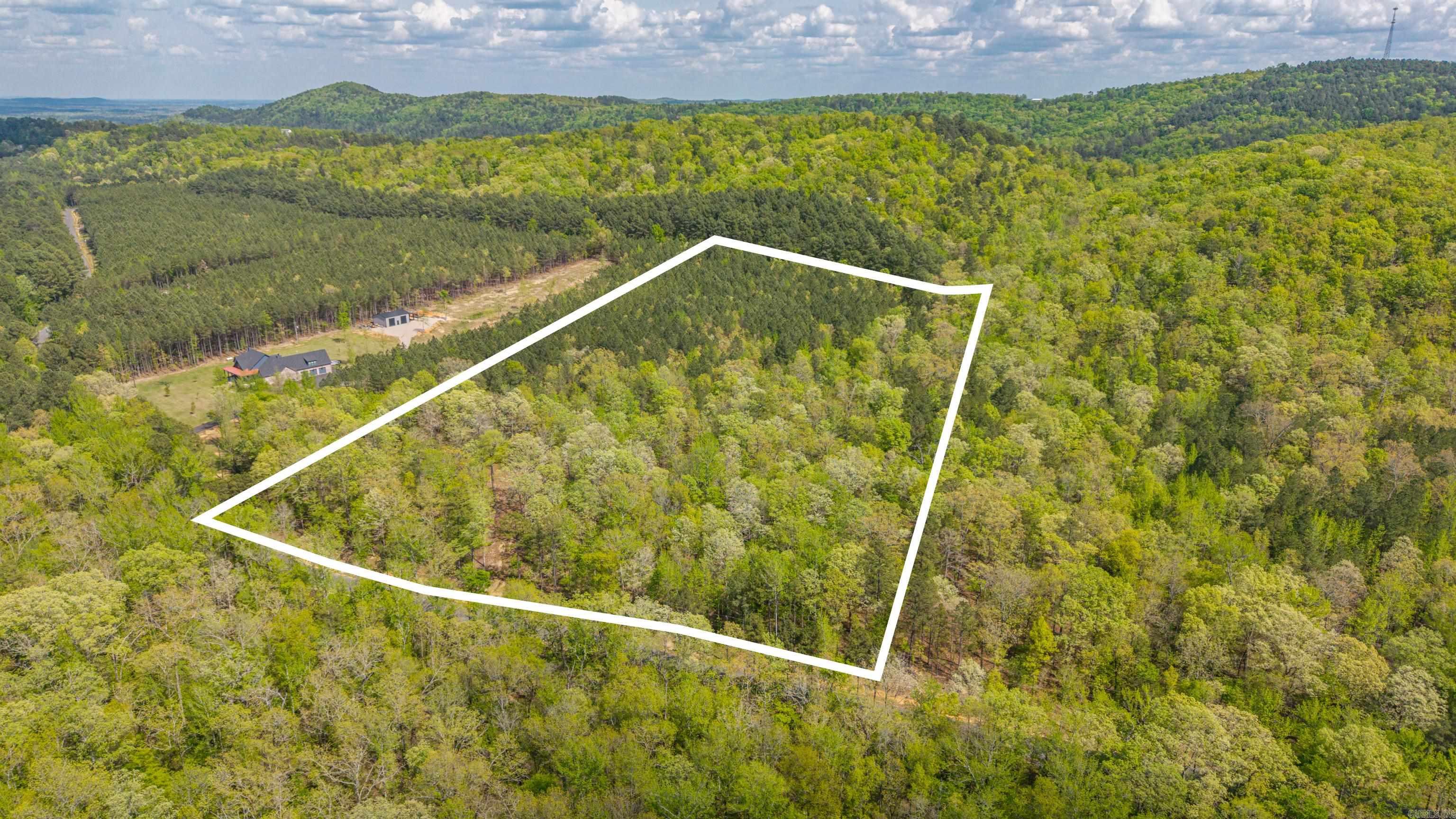 Discover the perfect canvas for your dream home on this stunning 12± acre property. Predominantly level terrain offers exceptional buildability, giving you the freedom to design and position your custom home exactly where you envision it. Whether you're dreaming of a sprawling estate, a private retreat, or simply room to spread out and breathe, this land delivers the space and flexibility to make it happen. Bring your builder, your plans, and your imagination — opportunities like this don't come along every day.