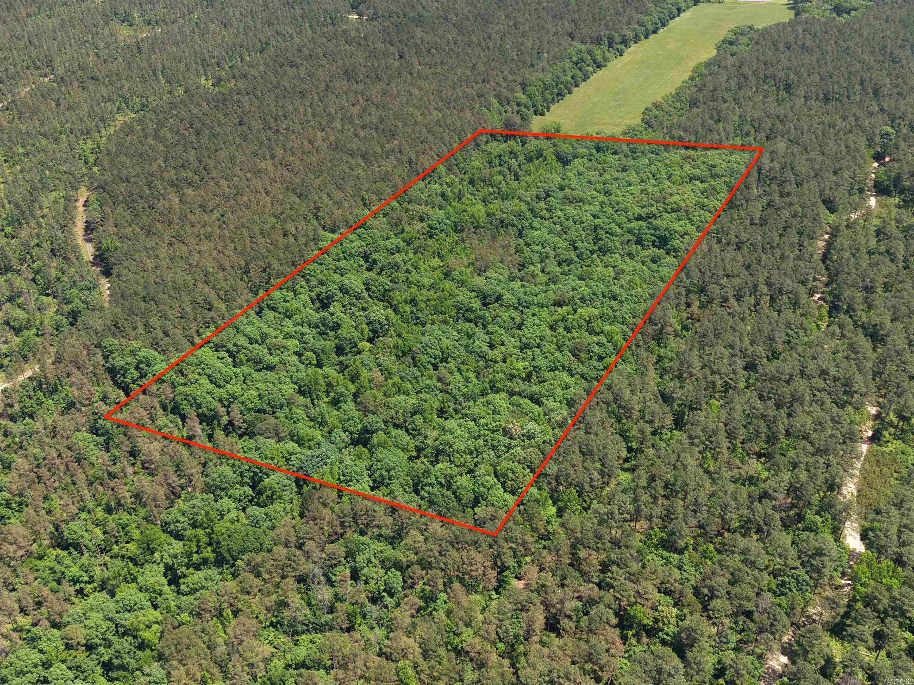 Resting near Langley, this 20-acre tract offers a truly rare opportunity for hunters, outdoor enthusiasts, or those seeking an escape from business of everyday life. Bordered on three sides by U.S. Forest Service land, the usable footprint expands from 20 acres to thousands of acres of accessible wilderness, providing unmatched privacy and room to roam. This property is a proven hunting haven, with a strong history of large whitetail deer harvests. Located in Bear Zone 2, it also offers excellent opportunities for black bear hunting. The land is rich with mature oak timber, producing an abundant mast crop that consistently draws wildlife from the surrounding pine forests. A wet-weather creek runs east to west through the center of the property, eventually feeding into the nearby Little Missouri River. Conveniently located just 15 minutes from Albert Pike Recreation Area, outdoor adventure is always within reach. The property is also just over an hour from Hot Springs and approximately 1.5 hours from Texarkana, making it an easy getaway from city life. With electric and internet available within a quarter mile.