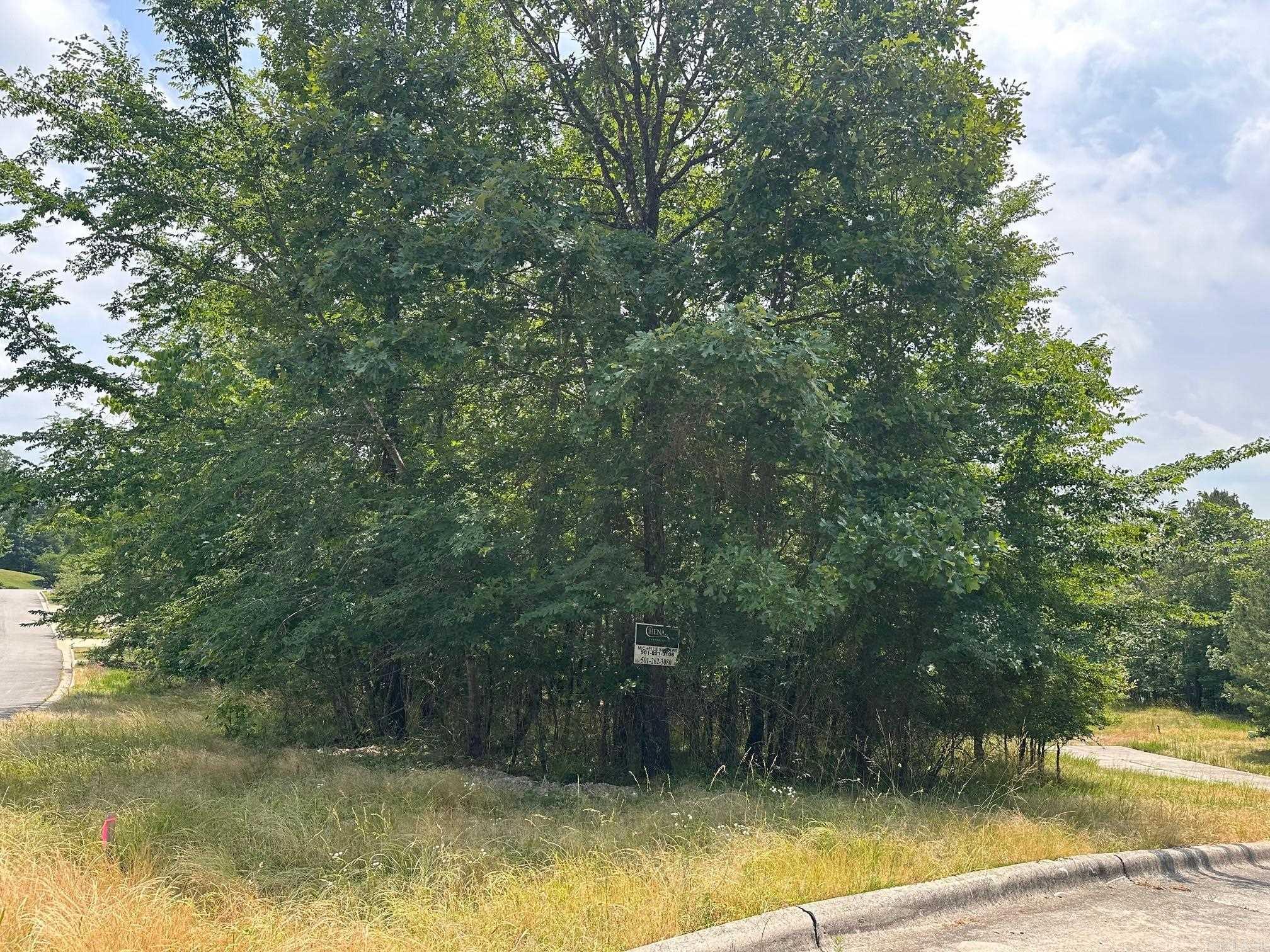 Red Oak Ridge - Land