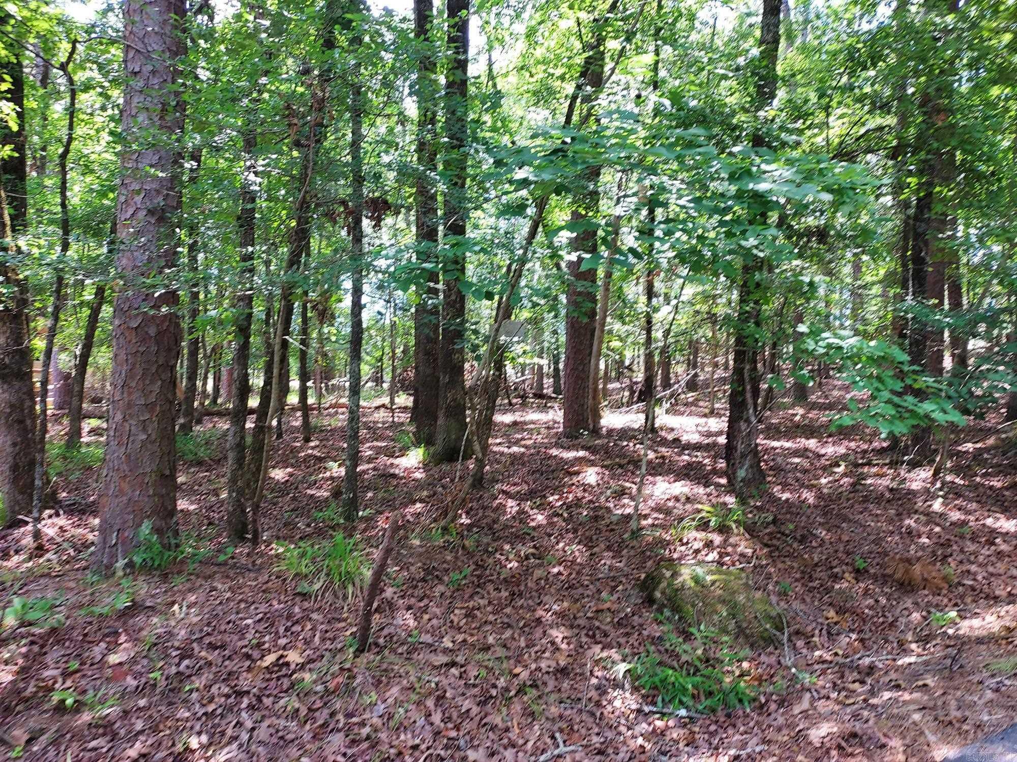 Buildable lot a couple miles from the West Gate. Established neighborhood on quiet culdesac. Near Barcelona Road Baptist Church.