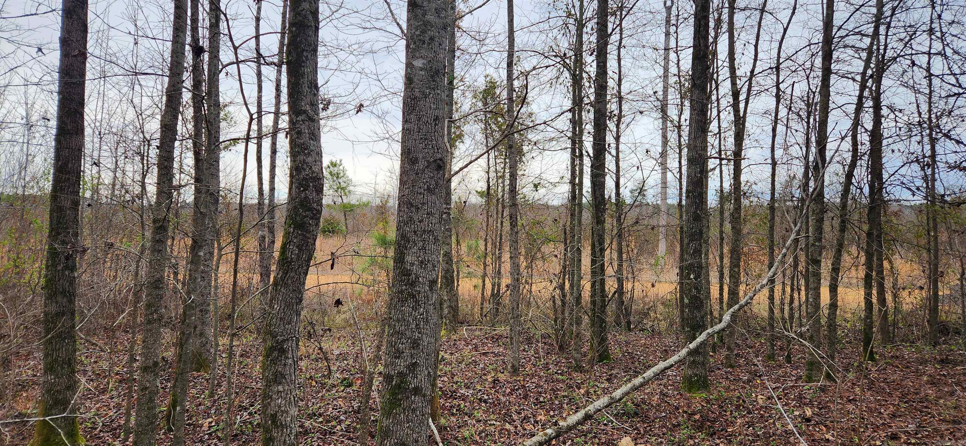 CANE CREEK ACRES - Land
