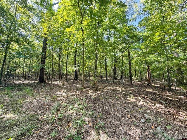 Gorgeous land for your dream home! Located near White River access at Rim Shoals.