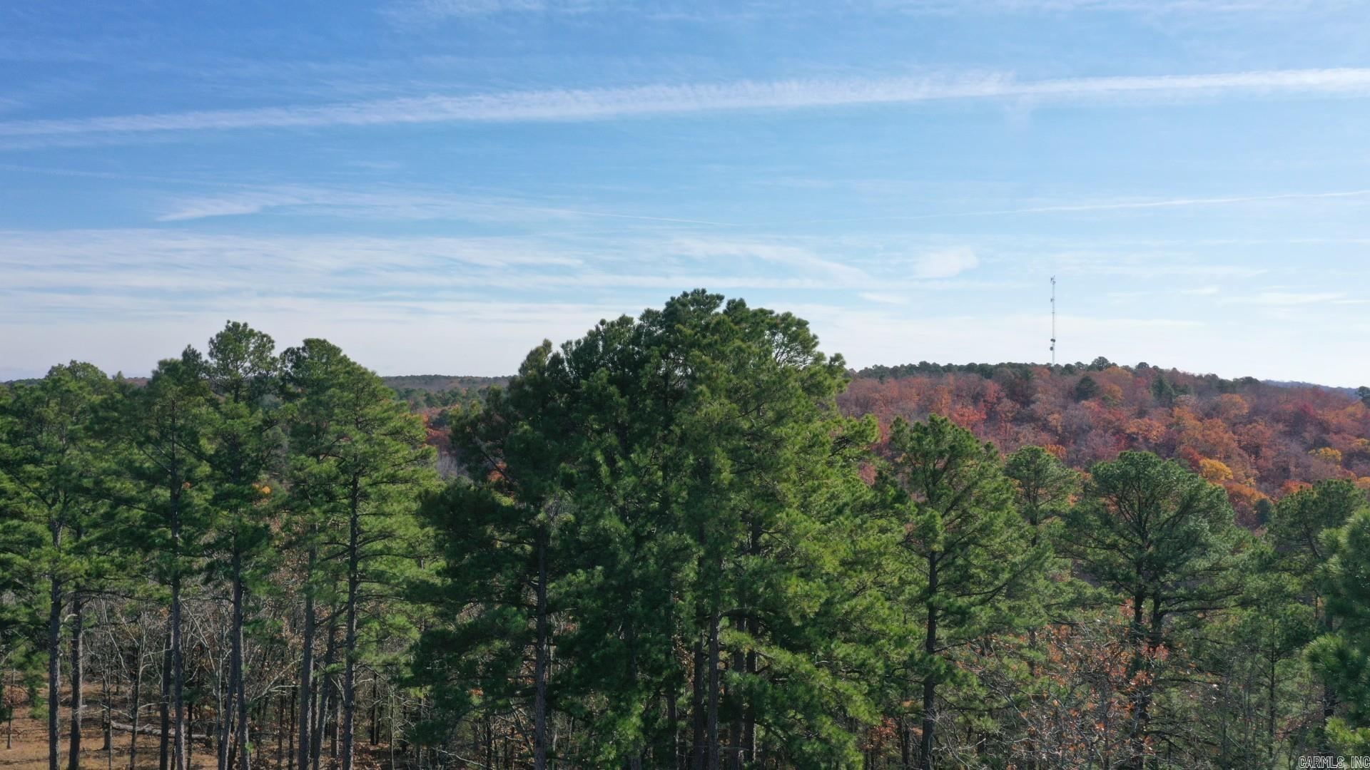 Beautiful Orchard Hill Subdivision with mature trees and country feel but with City conveniences.  Conway Corporation utilities and septic.