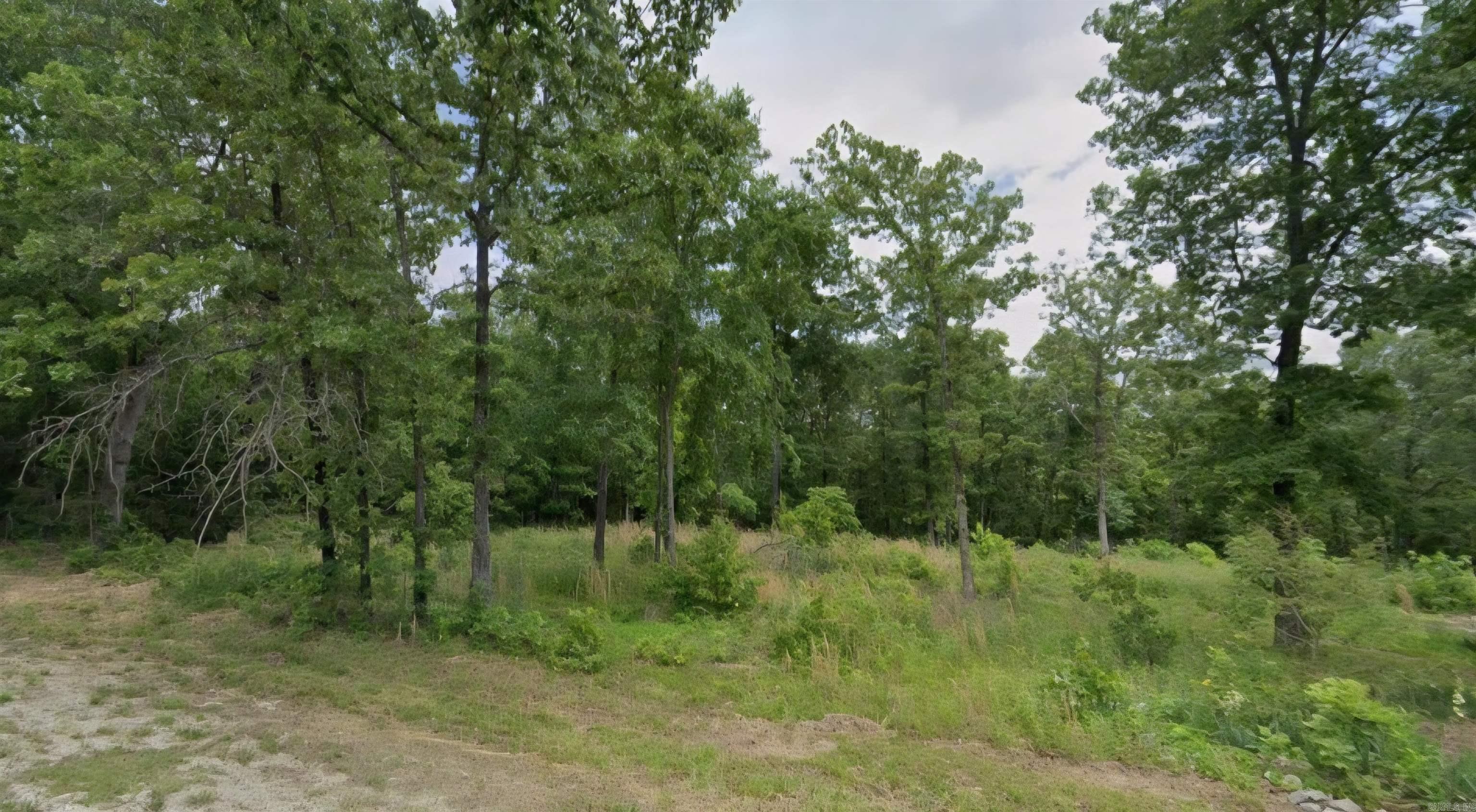 This .45 (+/-) acre lot is in the beautiful Horseshoe Bend. It is right by Pioneer Lake and only minutes from Crown and Diamond Lakes along with being close to local amenities. Mobile, manufactured and tiny homes are not allowed in this subdivision. Property conveys a Limited Warranty Deed. Owner financing available. County records does not show correct property lines.