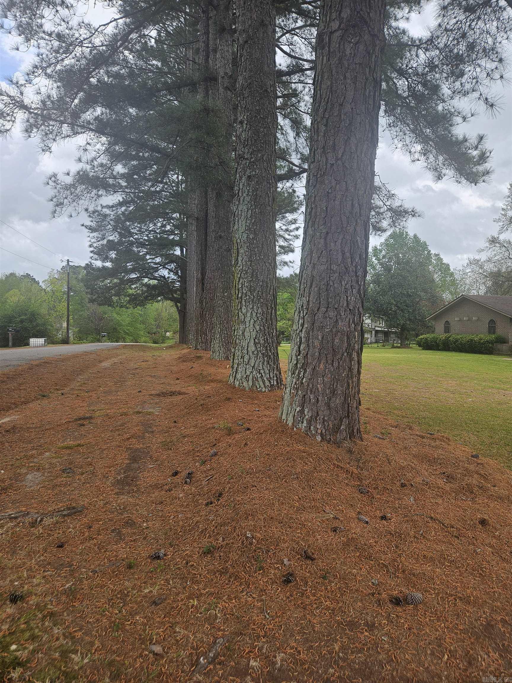 Original Mineral Springs - Residential