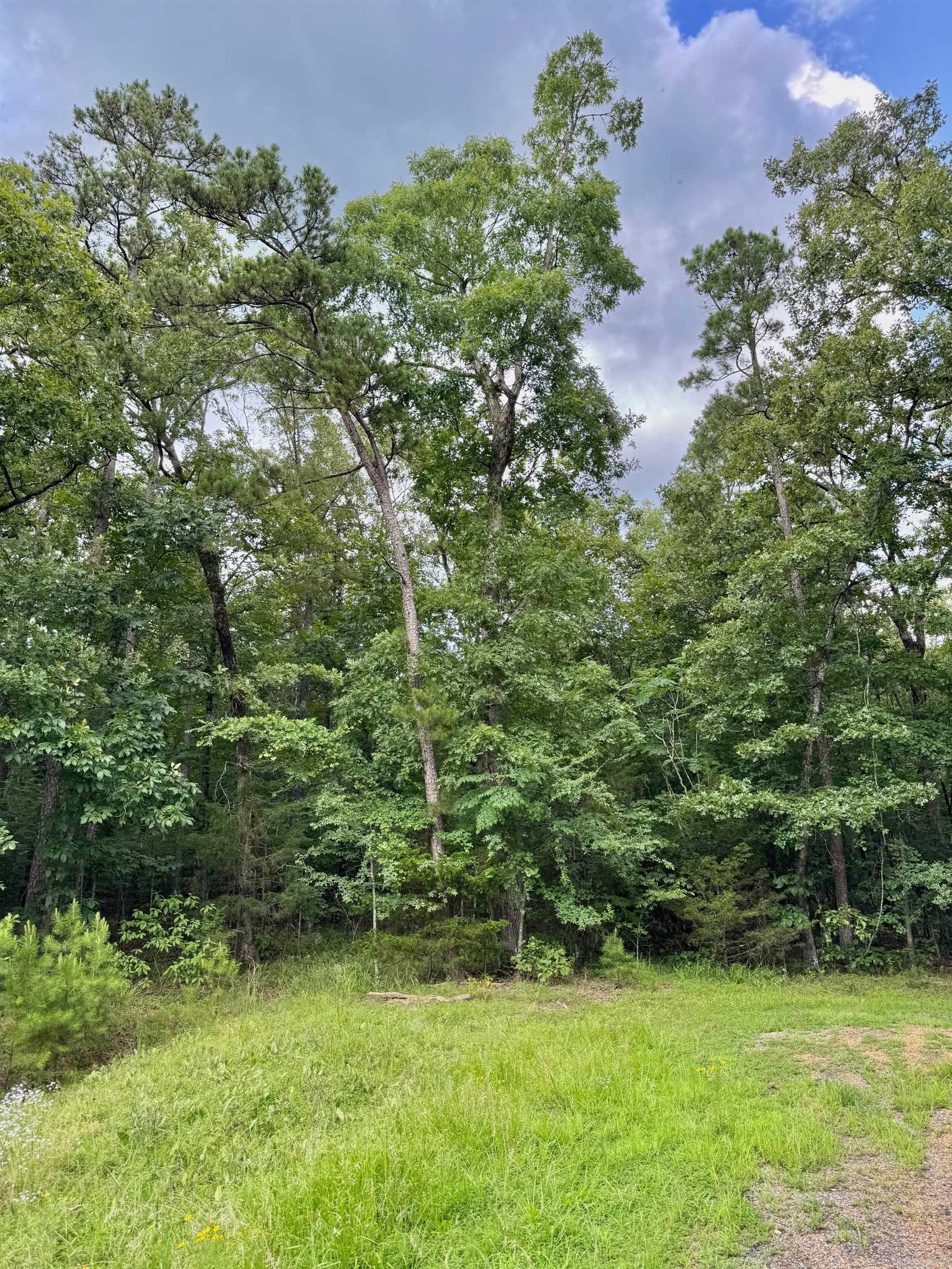Primrose Creek Sayles - Land