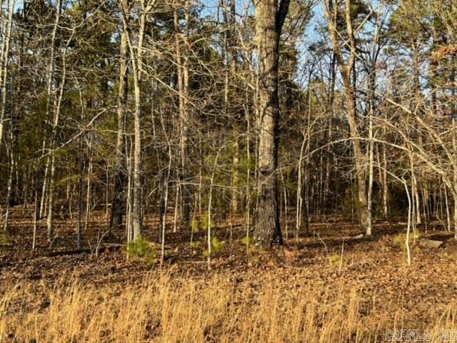 Primrose Creek Sayles - Land