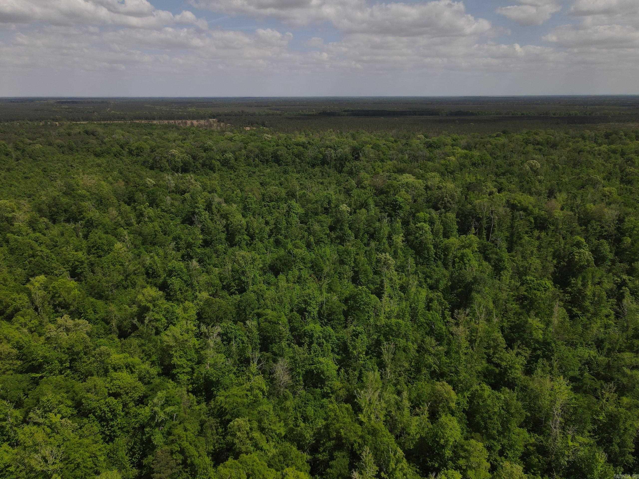 Discover the perfect blend of recreation, seclusion, and long-term value with this 80± acre tract near Hamburg in Ashley County. Located in the desirable Chemin-A-Haut Creek corridor, this property offers an ideal setting for hunting and investment.  The land features a diverse timber stand providing both wildlife habitat and future income potential. Nearby creek systems and natural topography support strong populations of deer, turkey, and hogs, offering excellent year-round recreational opportunities.  The property has deeded access from County Road 311, providing convenient entry while maintaining privacy. Its manageable size and layout allow for food plots, trails, or a campsite or hunting cabin.  This tract offers an excellent opportunity for buyers seeking affordable, manageable hunting land with strong usability and investment value. Additional adjoining acreage is available for expansion.  Tract 5 Co-listed with Compass South, Inc.