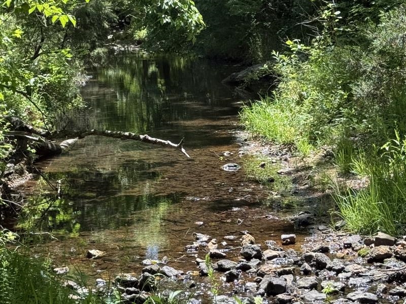 This acreage would be perfect for a building site, or to have for hunting! There are trails throughout the property...some need cleared to be passable again.  The property is mostly wooded, completely fenced with a gate at the access point, has a spring, and a creek! Rare find in this area, so take a look today!