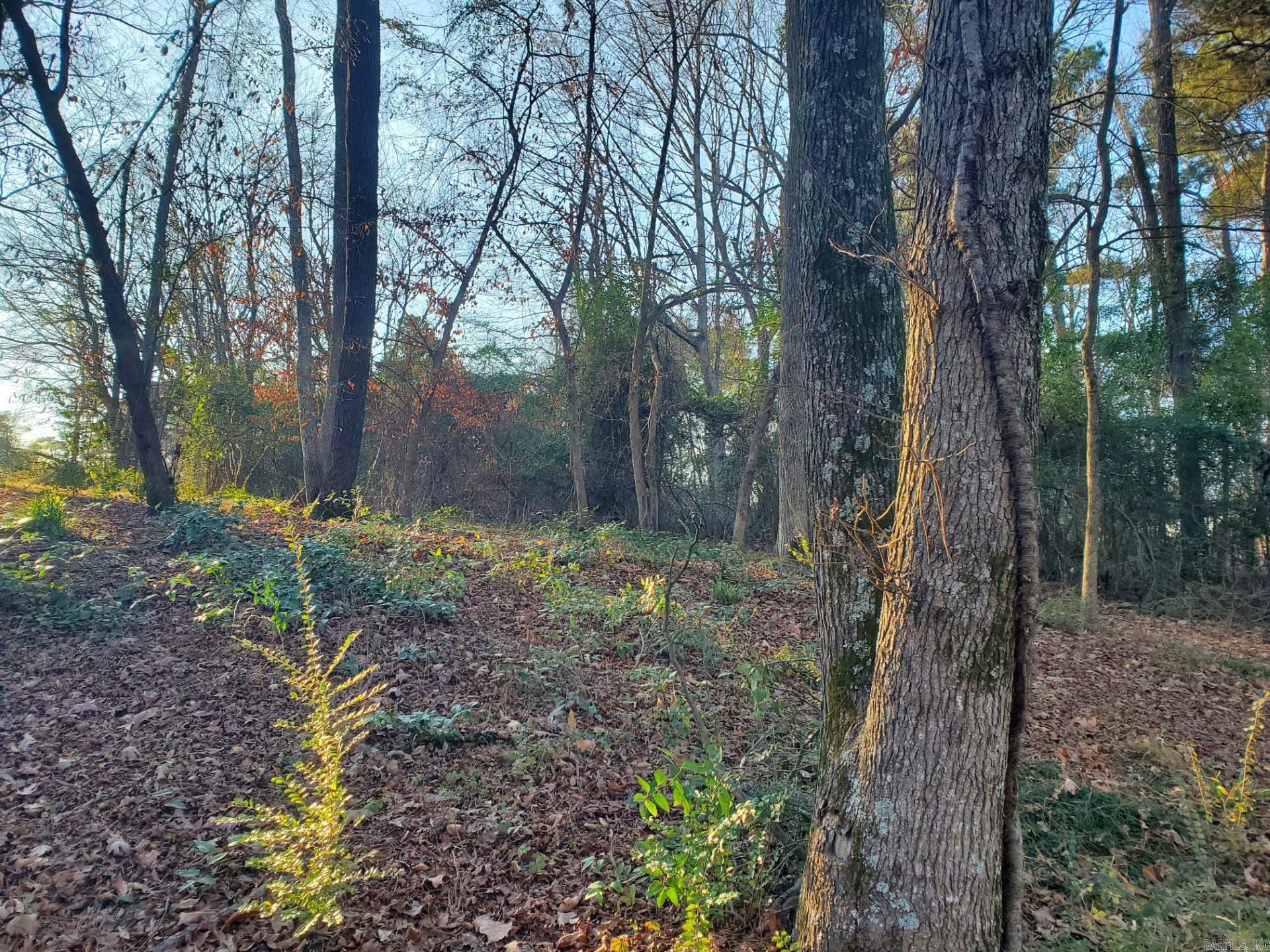 North Park - Land