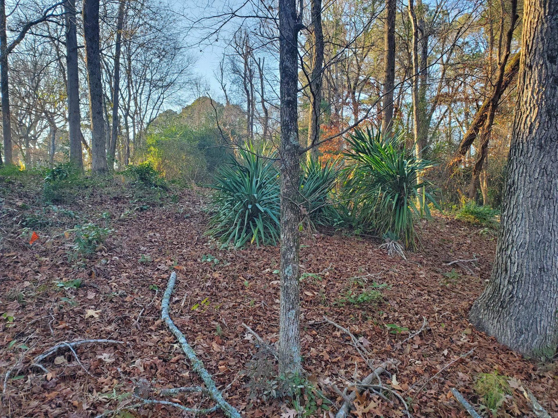 North Park - Land
