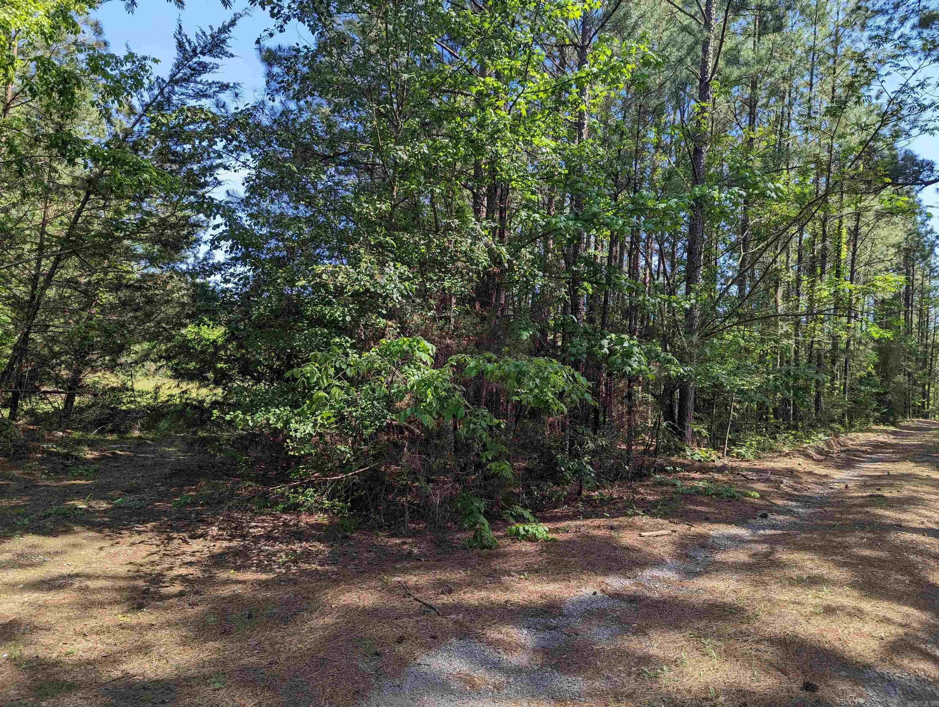 INVESTORS! This beautiful lot can be zone Commercial or Residential.  This beautiful treed lot is a builders dream. Build a business; Build a home. The price is right and the property is waiting on you! Square footage, lot size, and acreage is taken from courthouse records.