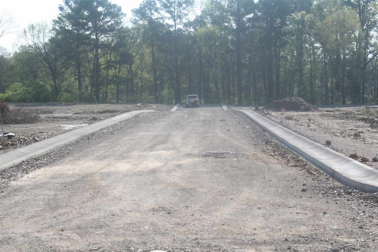 14 New Lots in Wildwood Garden Phase IV. Builder Restricted to Mike Wright. Beautiful Level Lots. Owner is Agent.