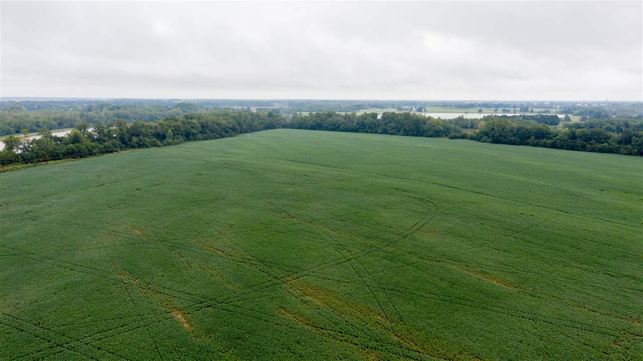 This 420+/- acre row crop farm has some of the richest dirt in the White River Bottoms.Tucked in the bend of the White River between Jacksonport and Newport.It has 70 acres of precision leveled fields and a 9 tower, complete circle pivot and another 7 tower, 3/4 circle pivot with both irrigating over 280+/- acres with pivots and there are 3 well on property.There is only about 20 acres dry land on entire property.High yield rice, soybeans & corn.Deer hunting with limited waterfowl.Lots on river can be sold.