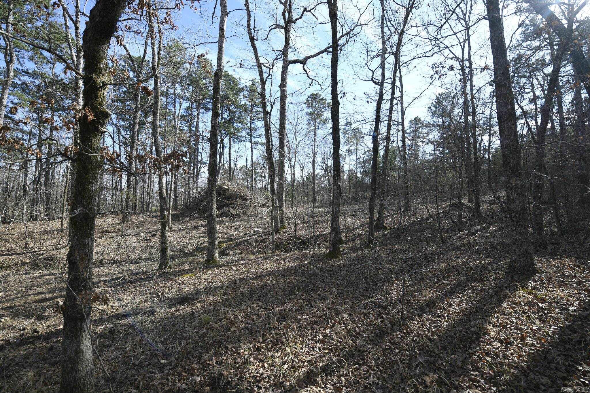 Acorn - Land
