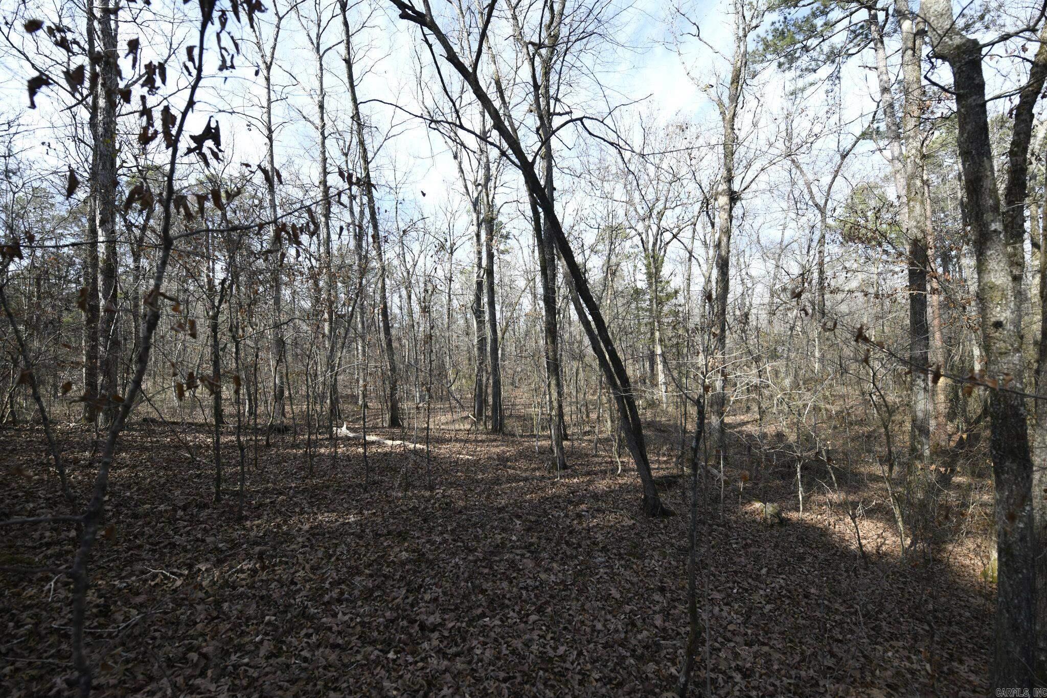 Acorn - Land