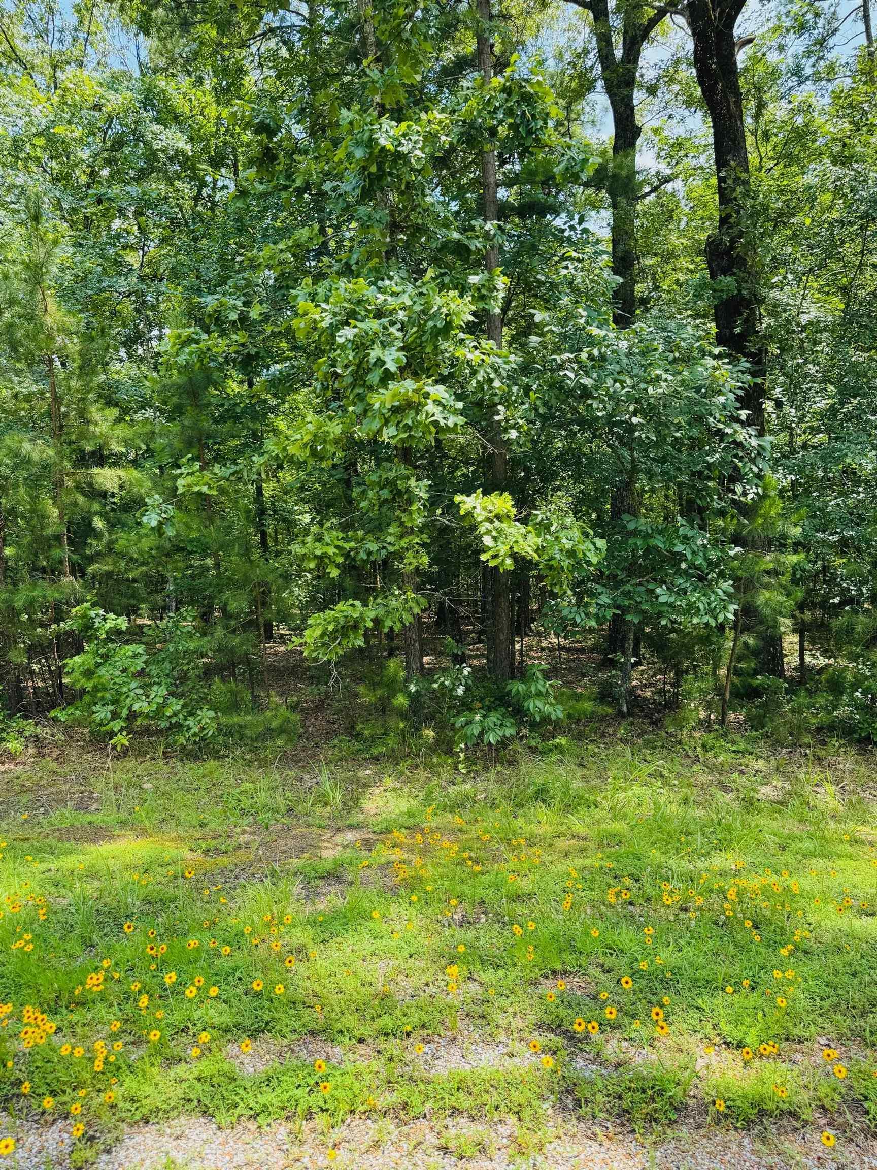 Are you dreaming of retreating to the beautiful Little Red River? This picturesque land is the perfect place to build your cozy dream home. Escape the hustle and enjoy a quiet community that offers a private community pool, boat ramp and dock on the Little Red River and minutes away from Greers Ferry Lake! This gated community offers modern amenities, access to hiking trails, boating, swimming and world-record trout fishing. Access to all the Natural State has to offer is only an offer away. Let us make your dream a reality!