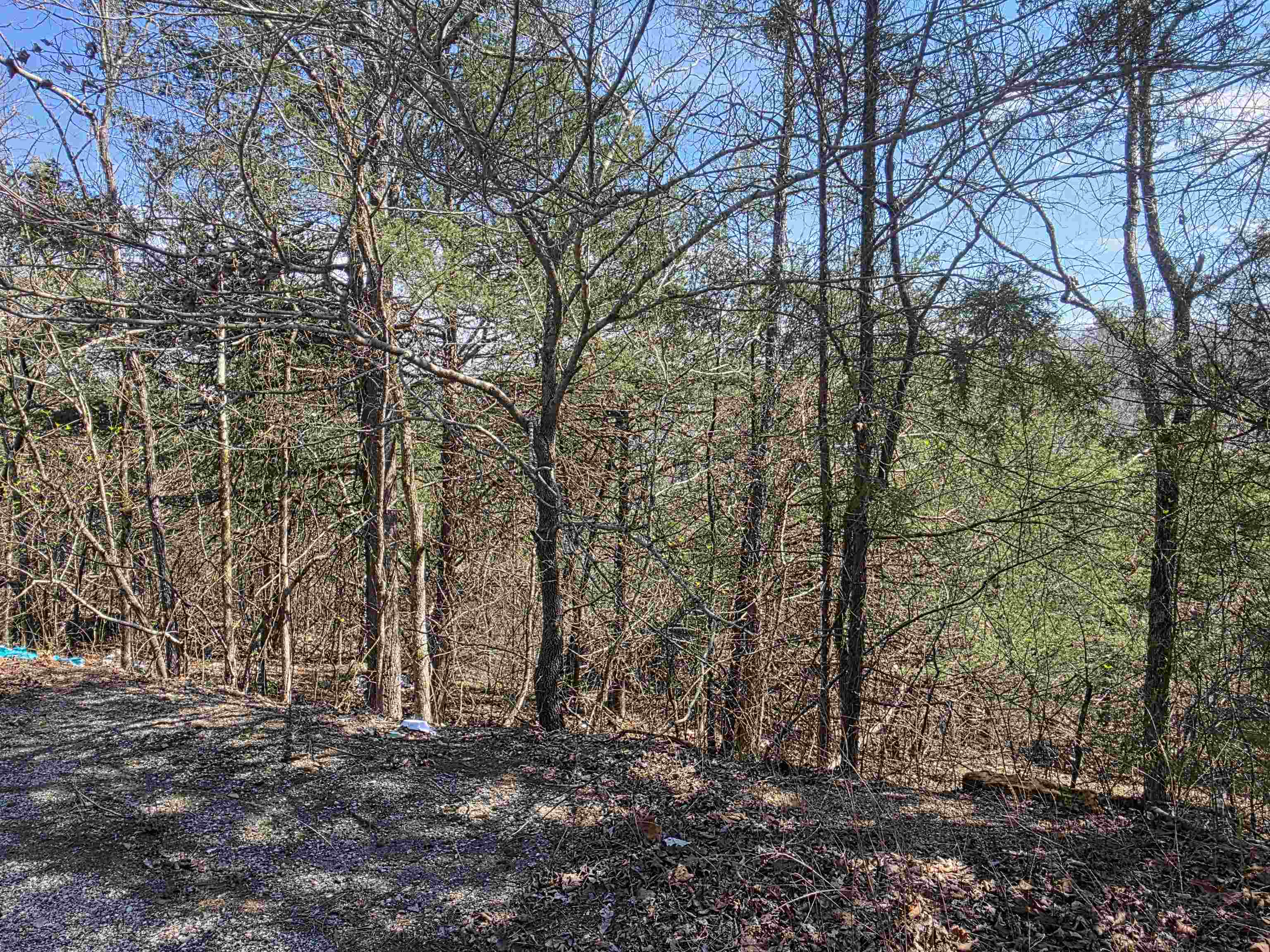 Nice lot with at the end of a Cul-De-Sac. this lot has a front to back downward slope. Lots of trees and lots of nature and wildlife. Come check this lot out, check out the view and see where you want to put your vacation home or your forever home. Retire here and fish 7 different lakes and golf 2 different 18-hole golf courses. Don't forget about the beautiful South Fork River that flows right through the Village. Shop in Old Hardy town and trout fish the Spring River. That's living the Cherokee Village lifestyle.