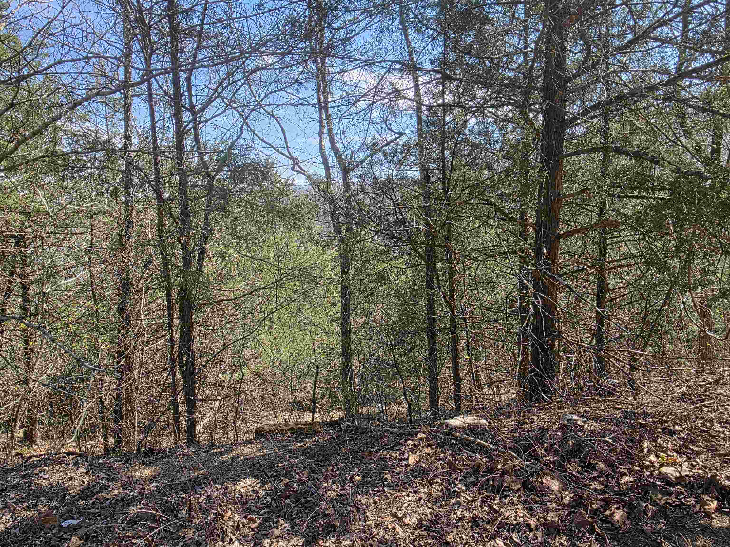 Hill Top - Land