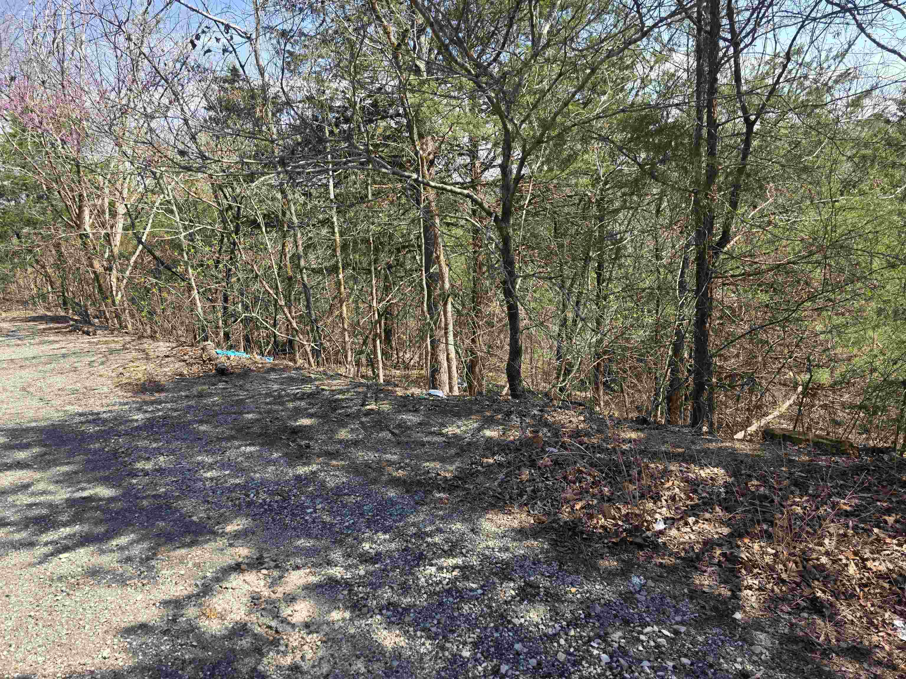Hill Top - Land