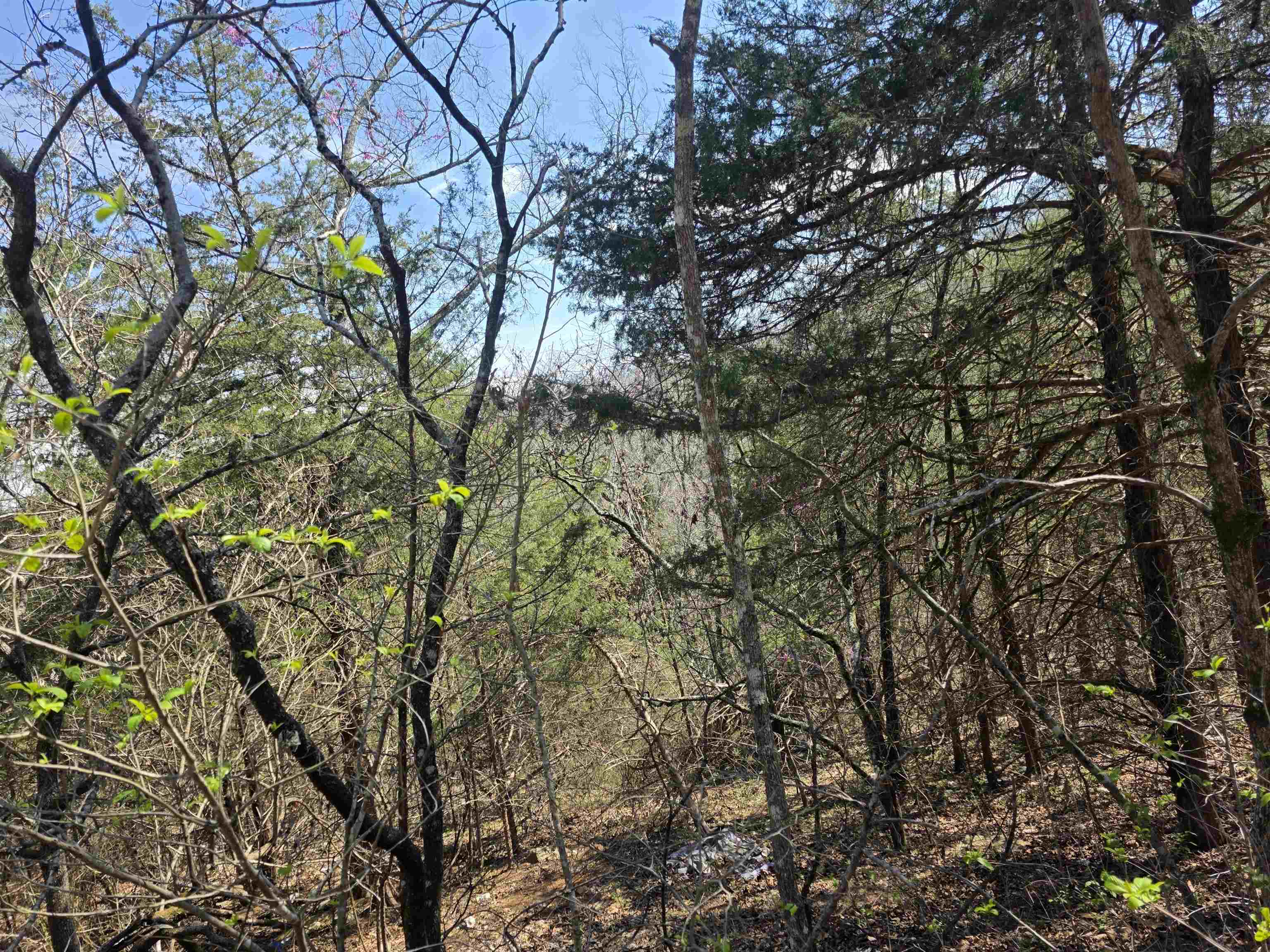 Hill Top - Land