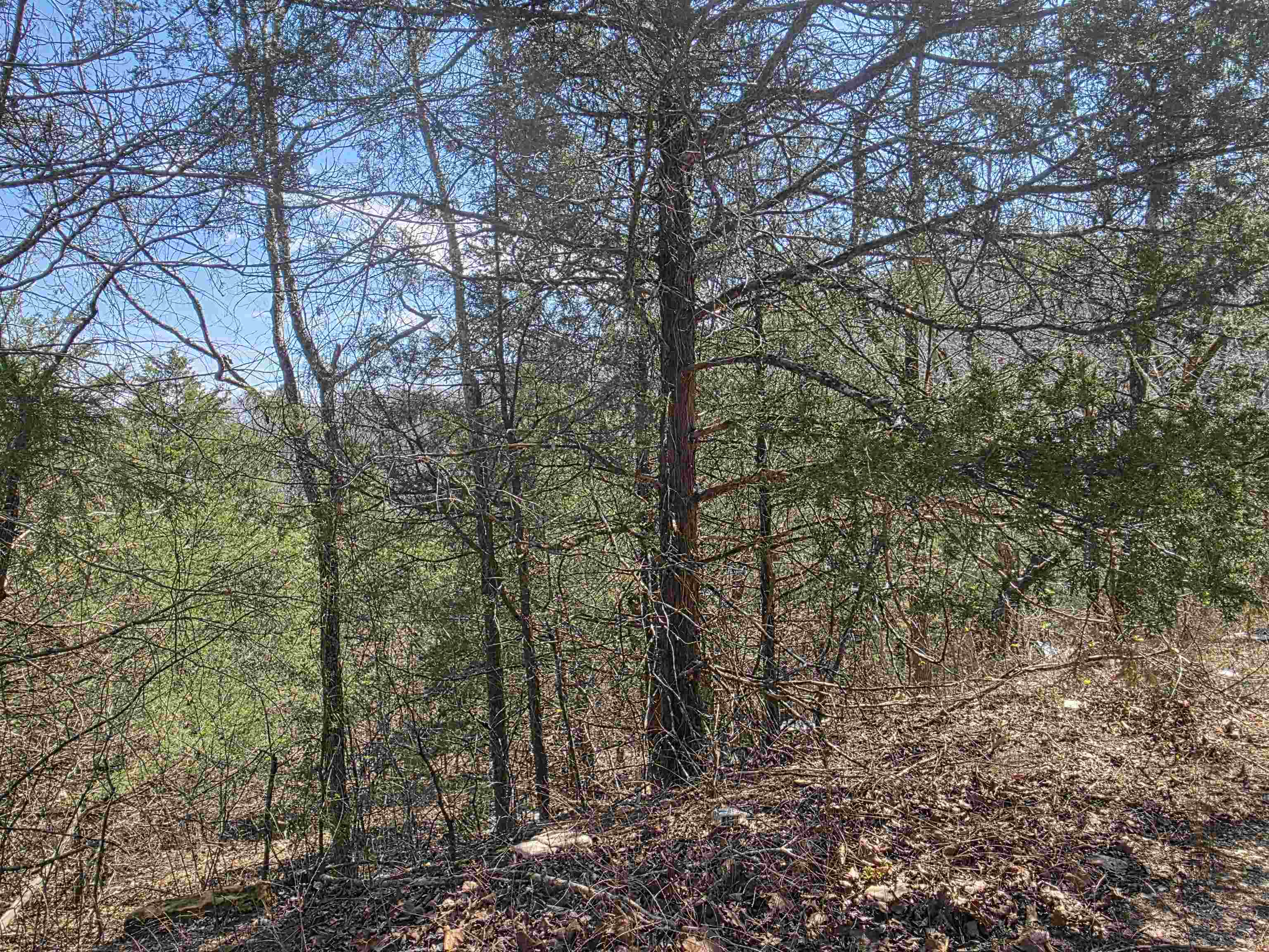 Hill Top - Land