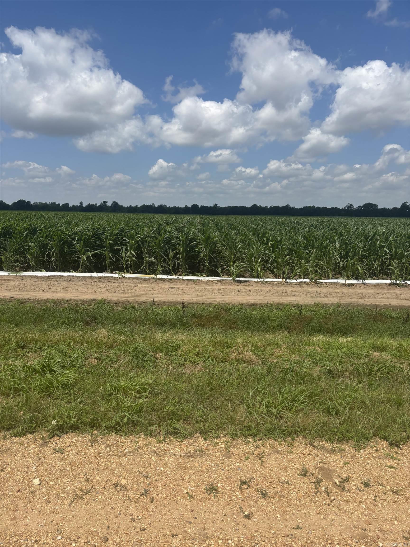 Not in Subdivision - Farm
