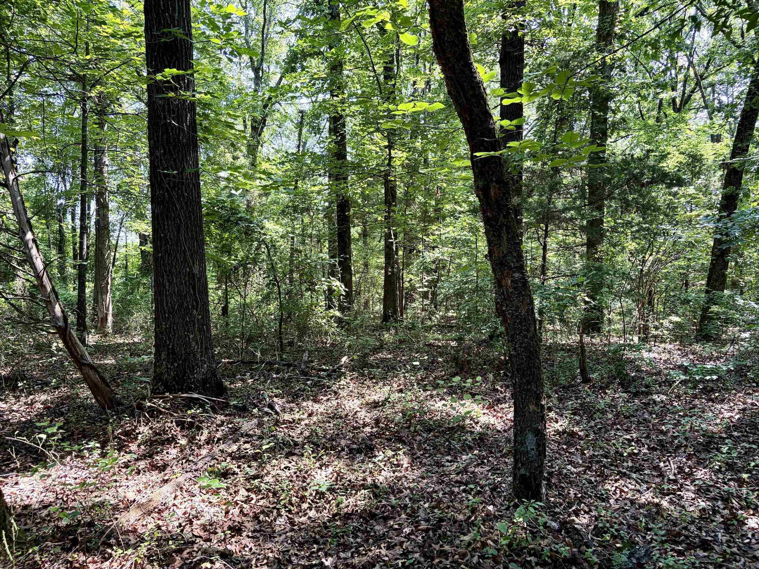 Not in Subdivision - Land