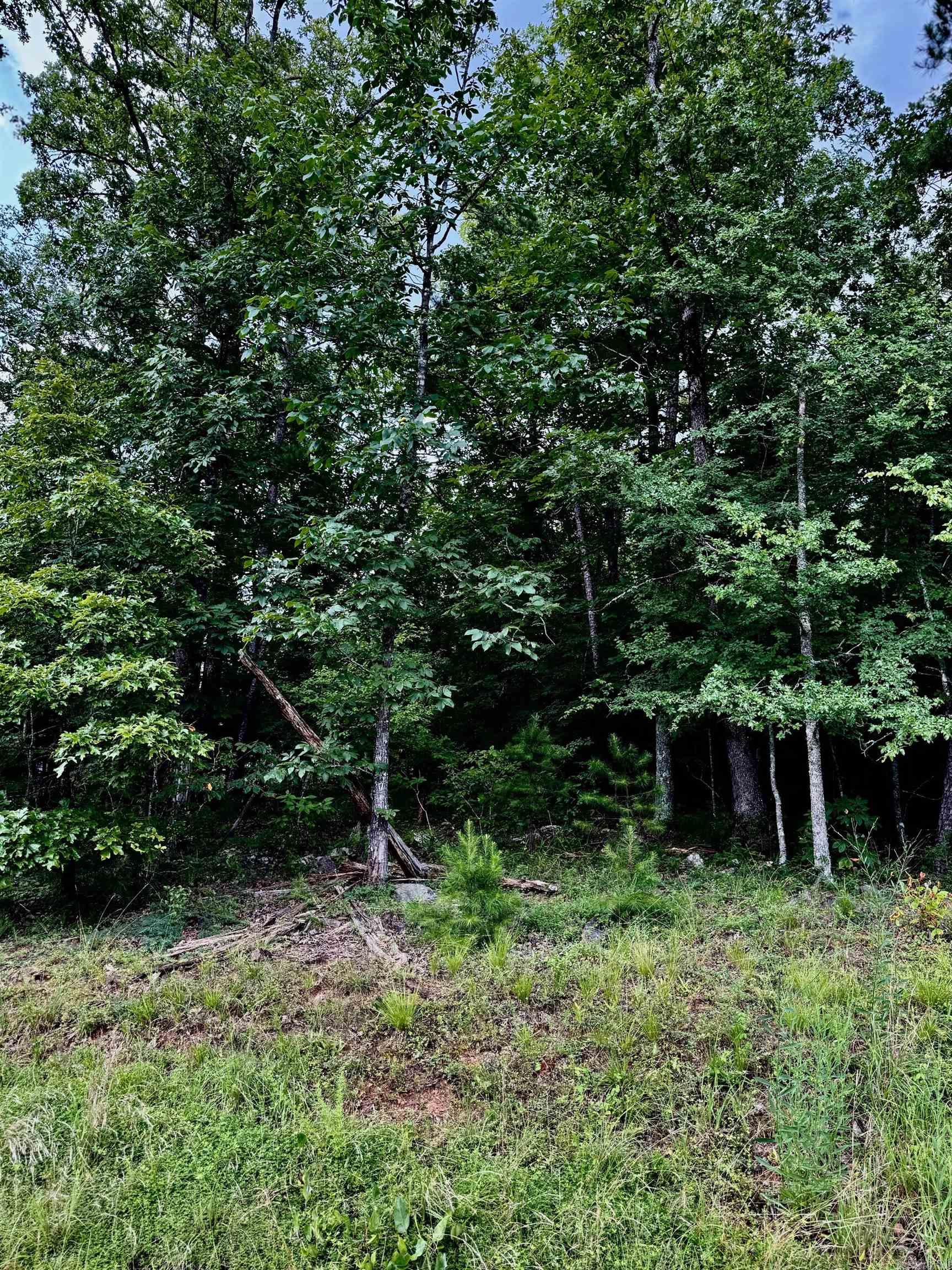 Primrose Creek Sayles - Land