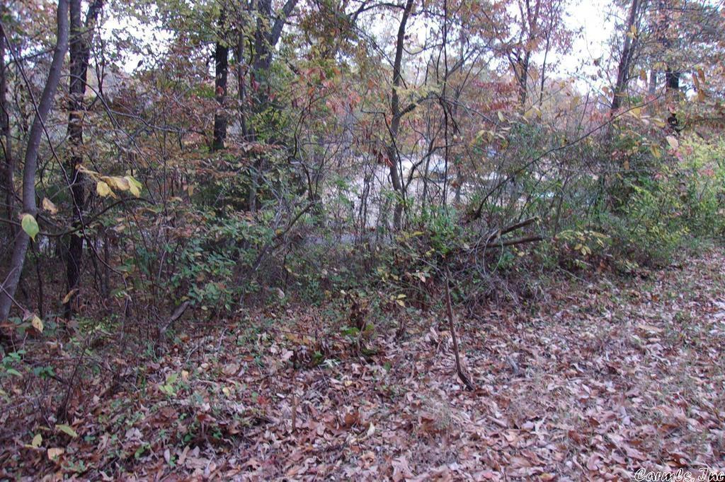 Edgewood Bay - Land