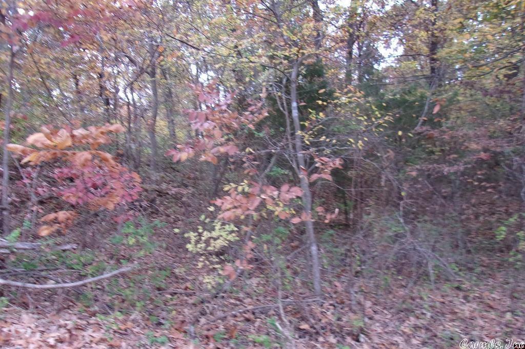 Edgewood Bay - Land