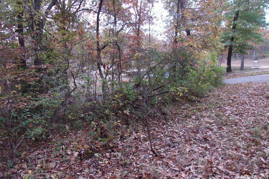 Edgewood Bay - Land