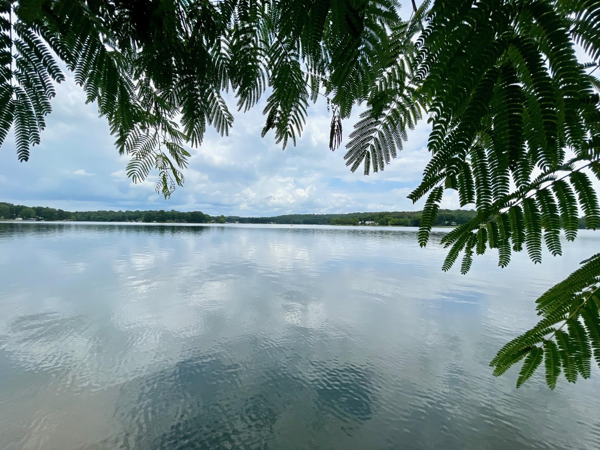 CROWN VIEW - Land