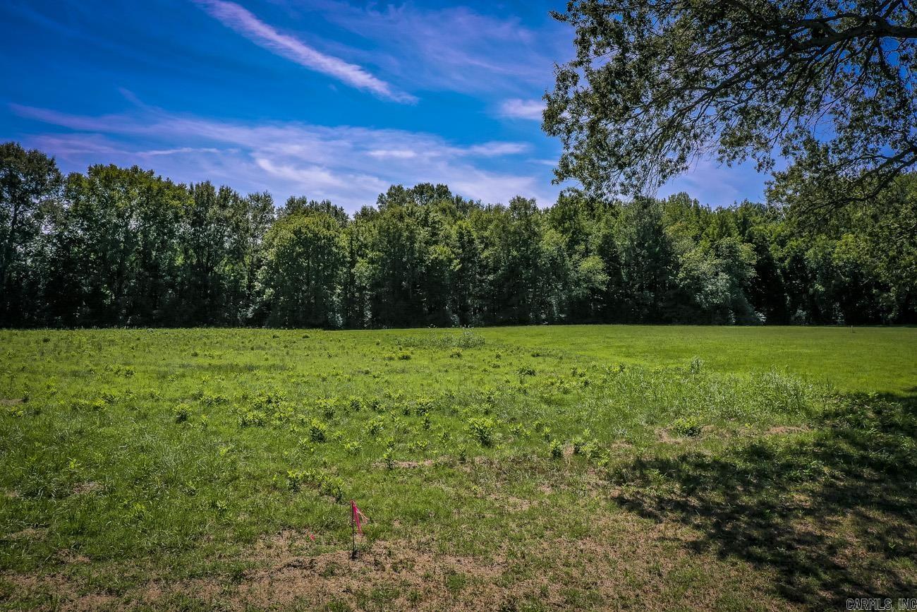 Prime development opportunity! This 3.22-acre property, zoned R-1, is perfect for a new subdivision. With a 50-ft easement for access and backing up to Matthews Park, it offers a fantastic location for future homes. Don't miss out—call today for more details!