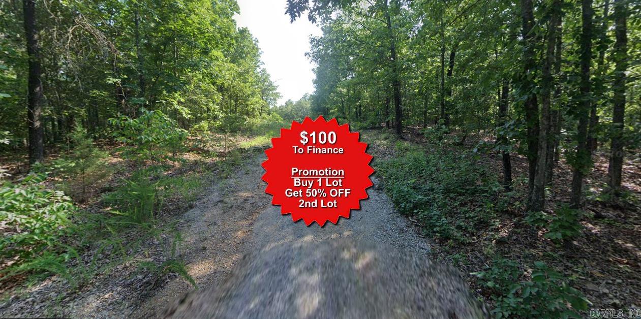 Buy one lot and get 50% off an additional lot! Owner-finance for easy terms. Cash buyers can pay by debit or credit card as well. Nice lot to develop or hold for future value. Public water and electric are available to run to property and will need septic. Owner/agent. No mobiles allowed. 1000 minimum build size on any other type of home, depending on subdivision. Finance is $100 down and 10 months at $109 and closing costs are included. Lots marked with red banner are part of promotion. No limit on lots. Buyer responsible for any/all taxes and lots sold "as-is". Quit claim deed conveys. Parcel ID# 355-19741-000