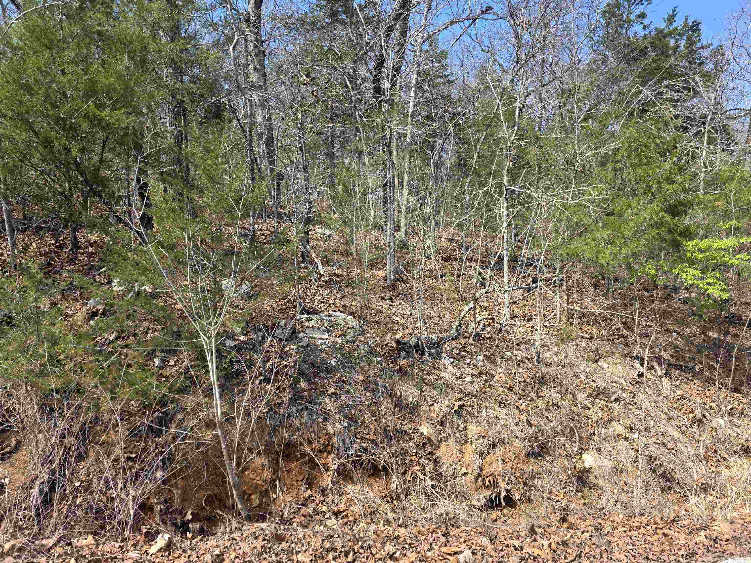 Wonderful, Wooded lot. This lot sits up high above the road. Lots of trees and lots of nature and wildlife. Come check this lot out, check out the view and see where you want to put your vacation home or your forever home. Retire here and fish 7 different lakes and golf 2 different 18-hole golf courses. Don't forget about the beautiful South Fork River that flows right through the Village. Shop in Old Hardy town and trout fish the Spring River. That's living the Cherokee Village lifestyle.
