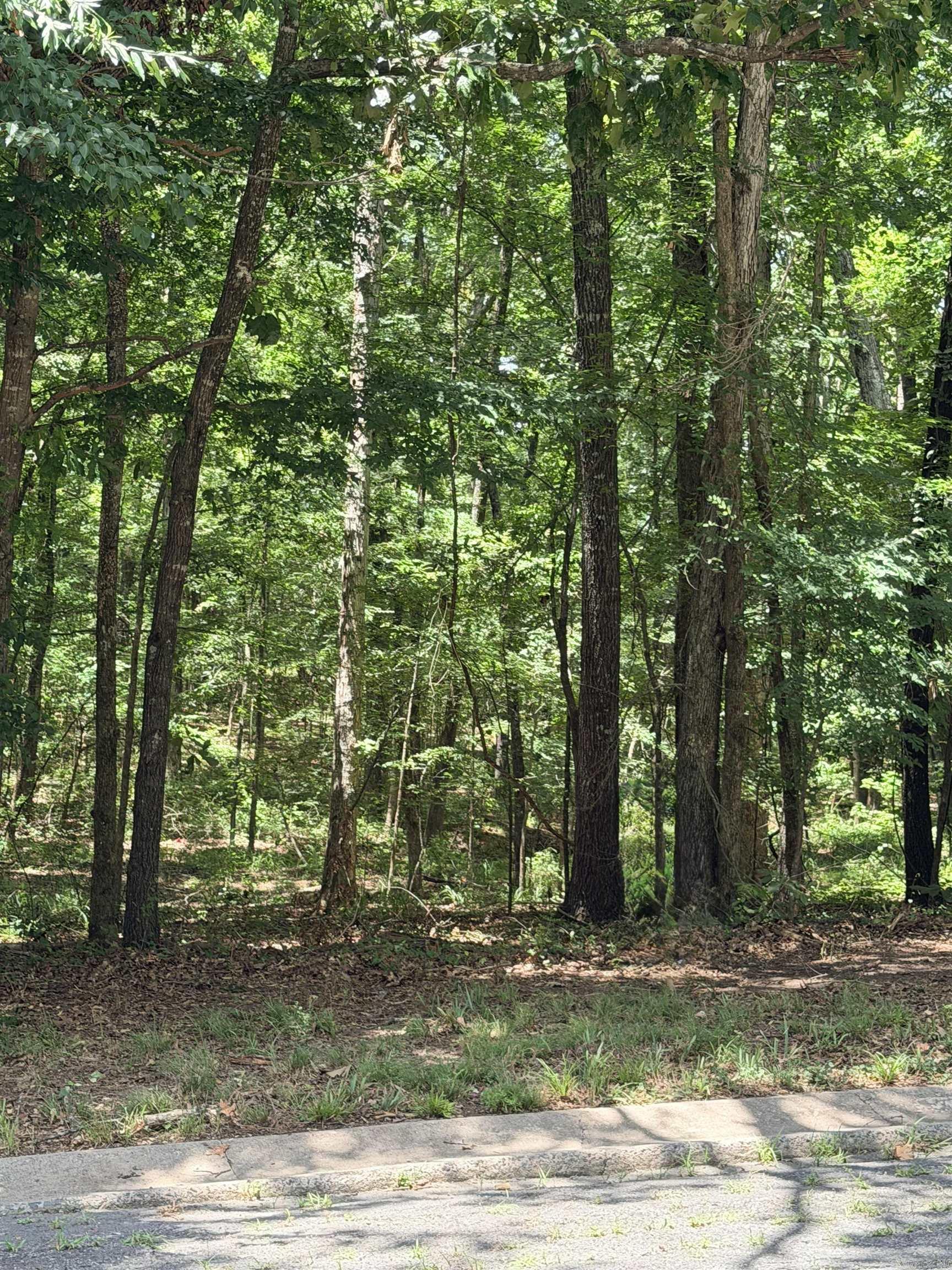 Prime Wooded lot in the heart of White Hall!  Perfect for your dream home or next investment.  Don't miss this opportunity to own a residential lot in an established, quiet neighborhood in the heart of White Hall.  Multiple wooded lots are available, offering flexibility for homeowners, builders and investors looking for a quality location with long-term potential.  This property offers a peaceful setting with mature trees while being conveniently located to all that White Hall has to offer.  If you're looking to build your dream home, add to your investment portfolio or secure additional lots for future development, these properties offer excellent potential in a desired area.