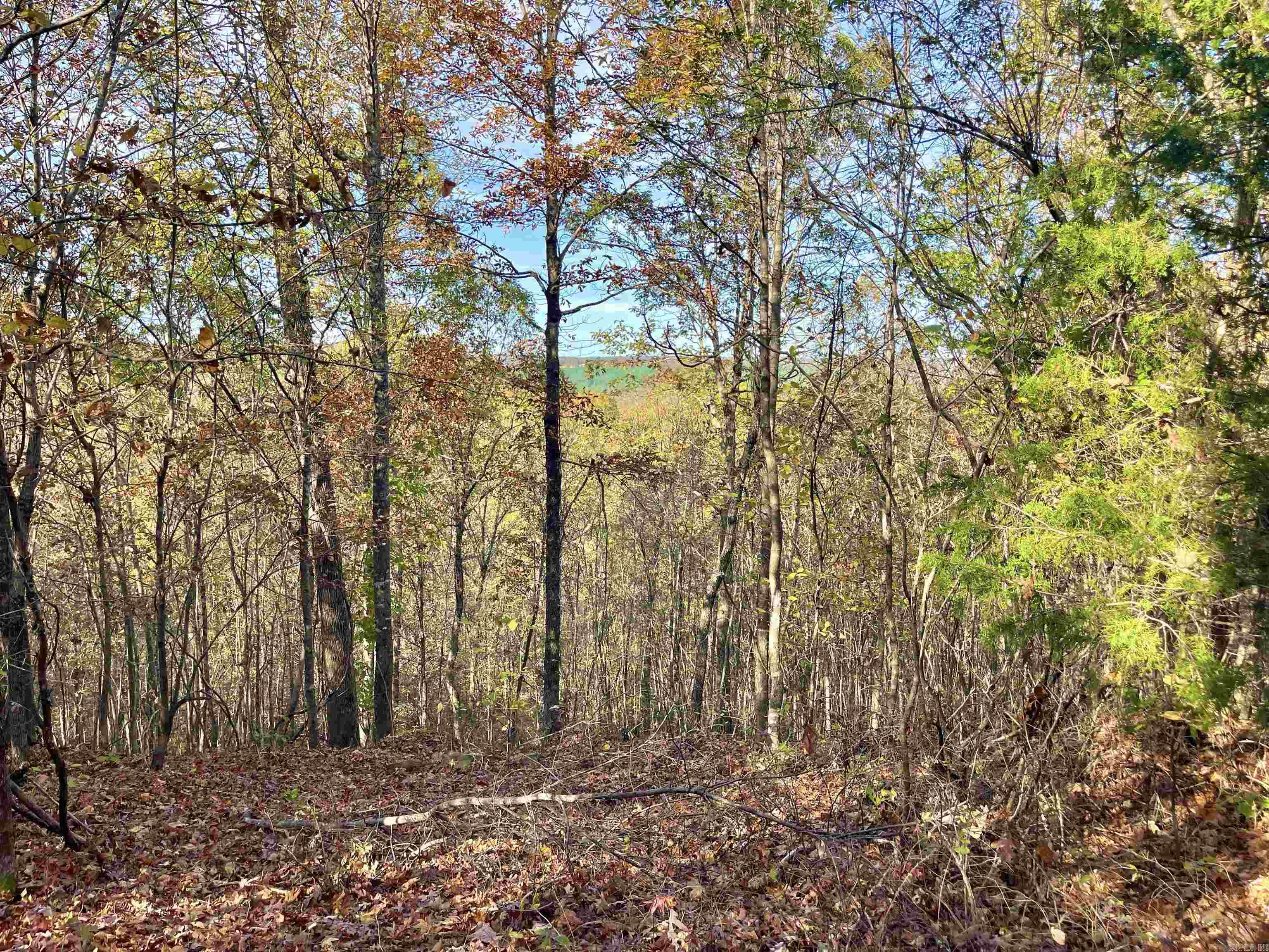 Eagle Ridge - Land