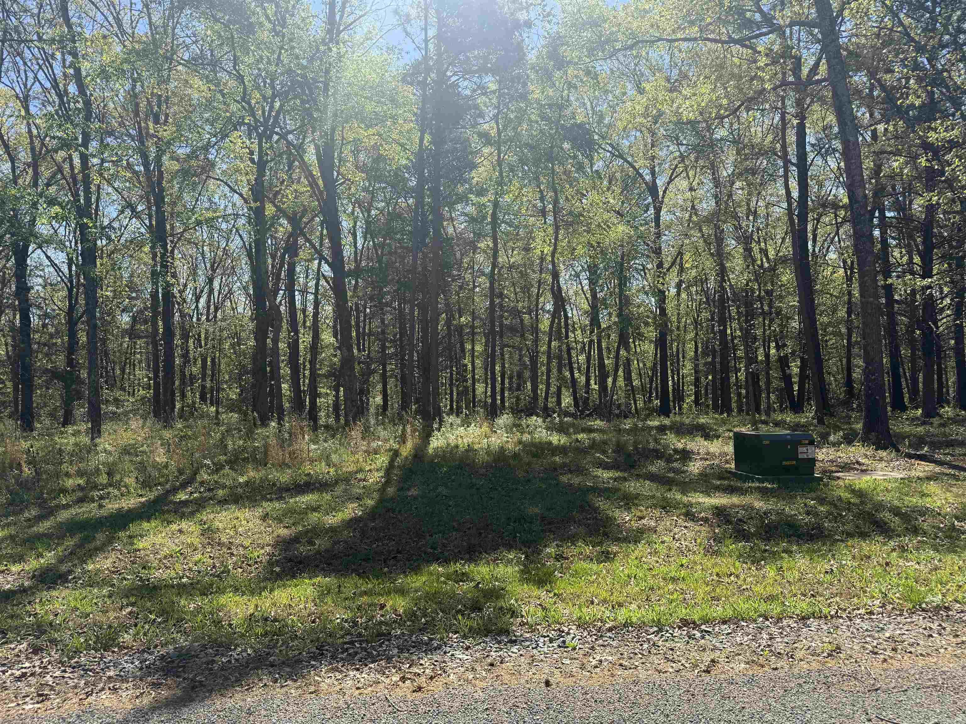 SHILOH LANDING - Land
