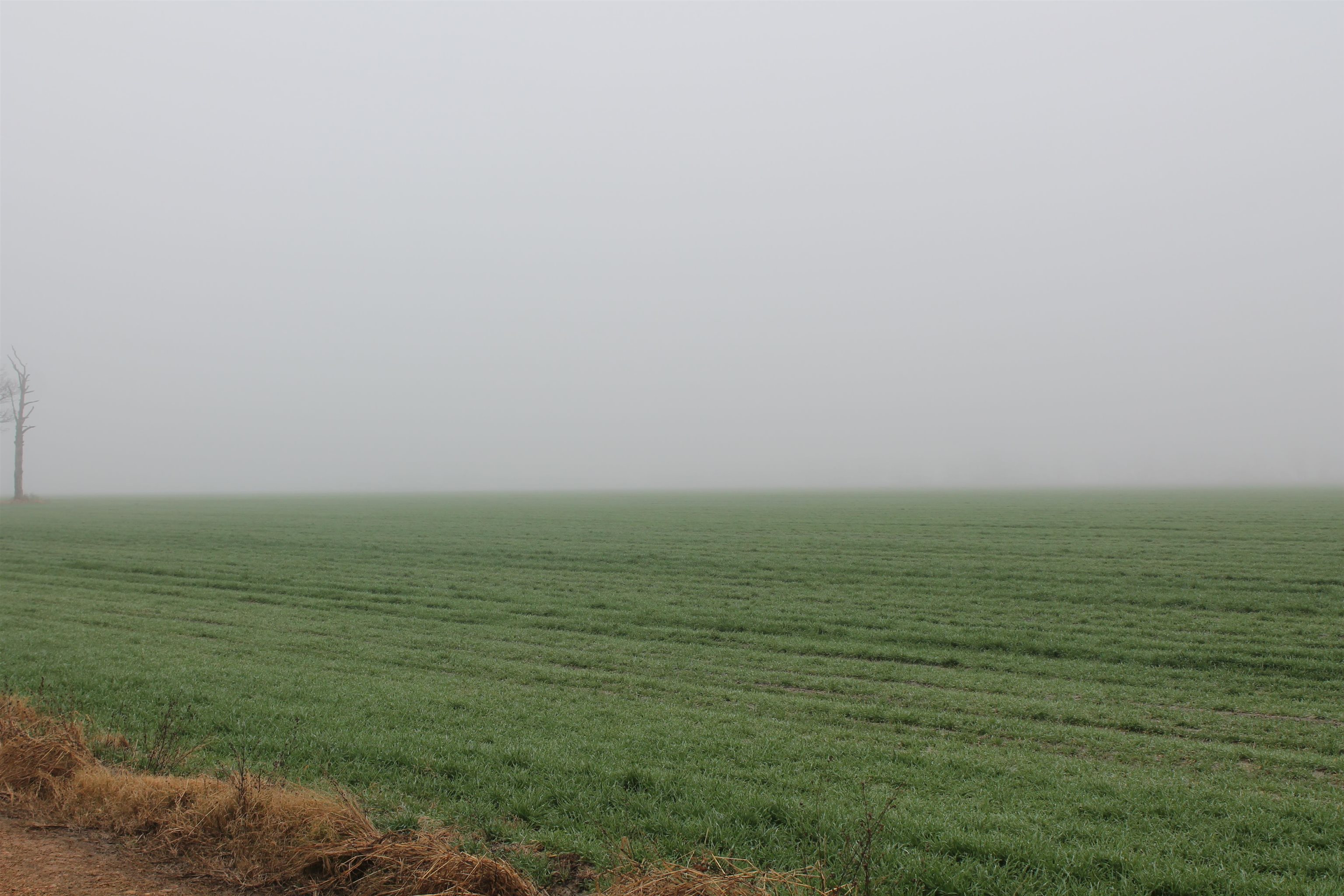 Metes & Bounds - Farm