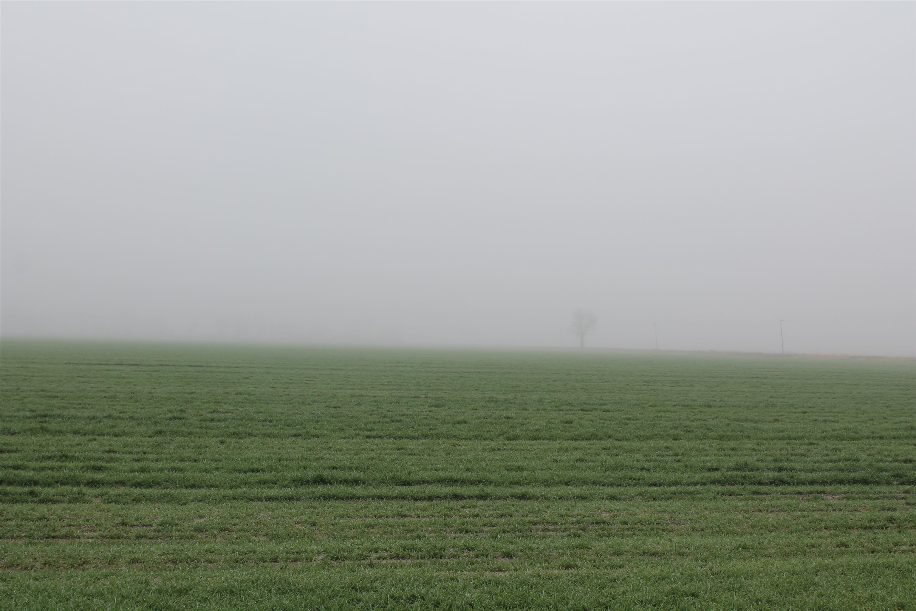Metes & Bounds - Farm