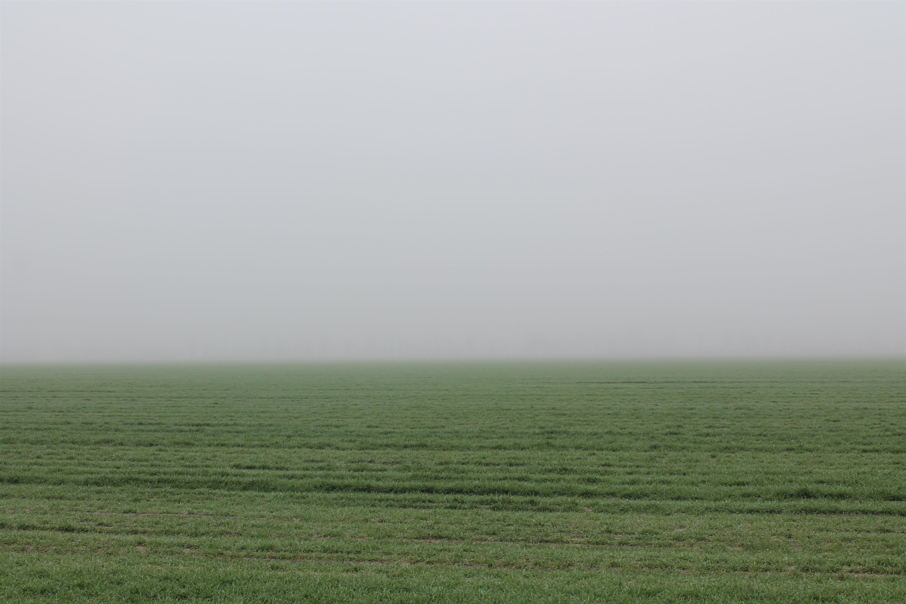 Metes & Bounds - Farm