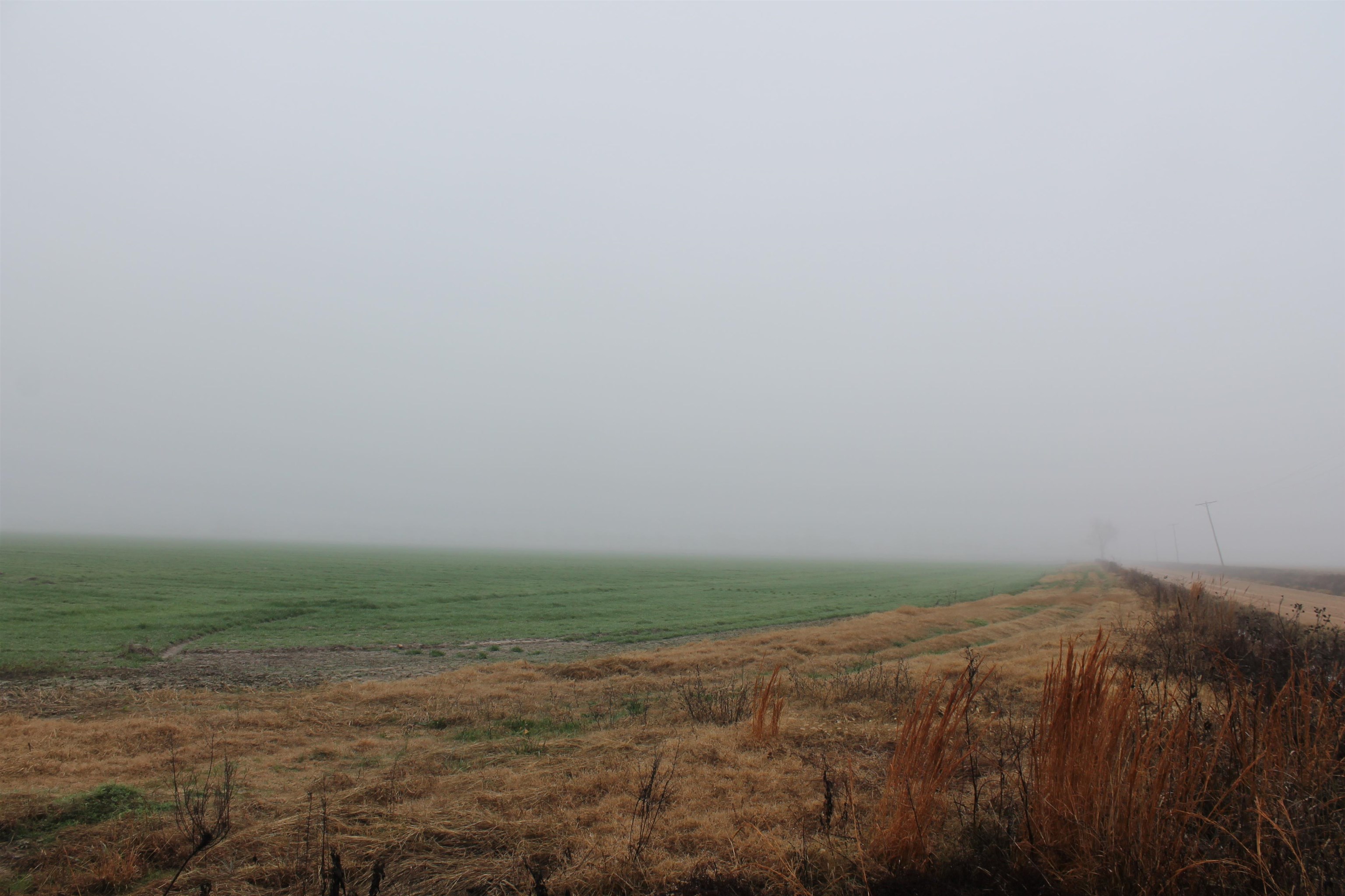 Metes & Bounds - Farm