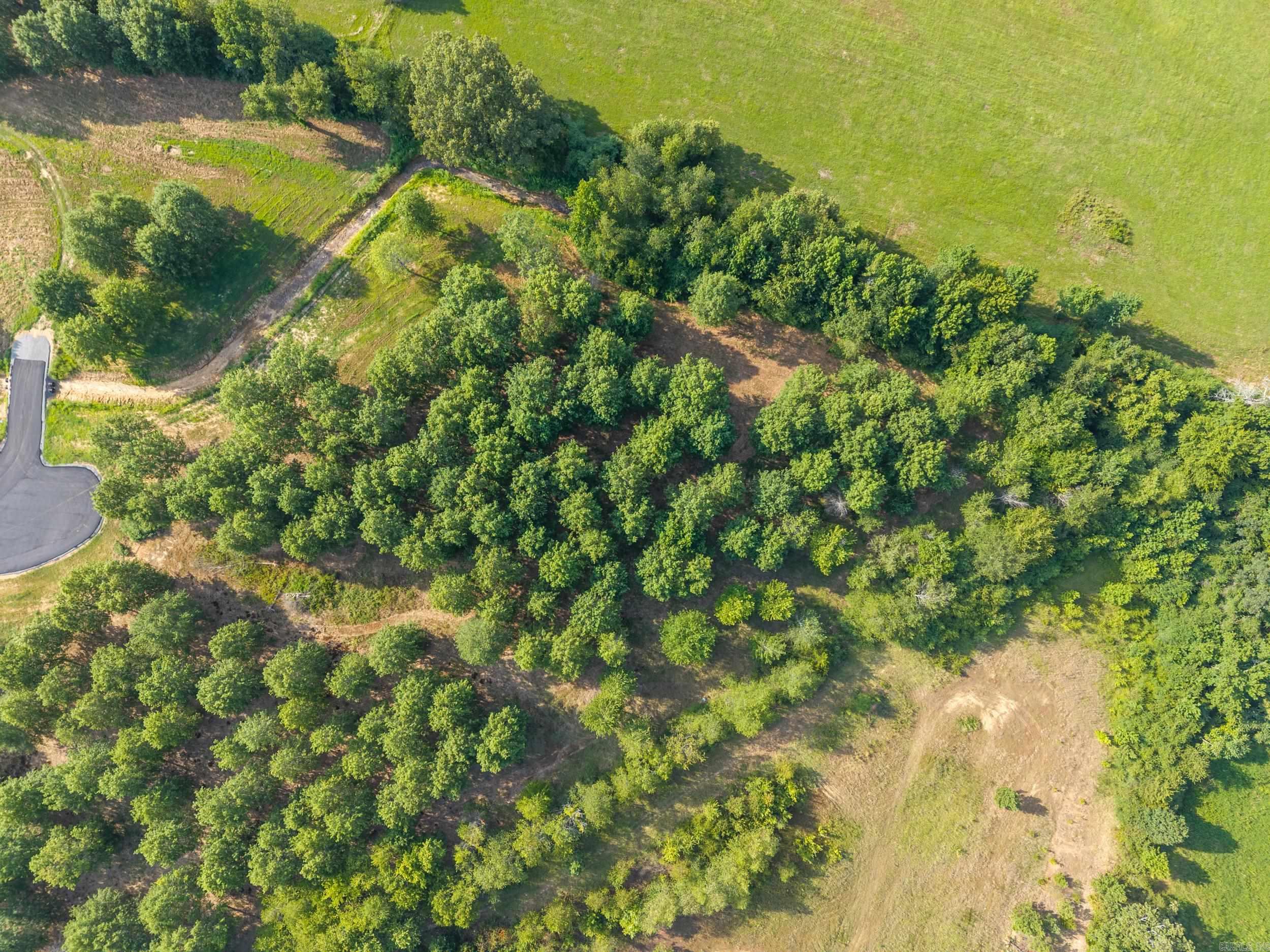 Win Meadow - Land