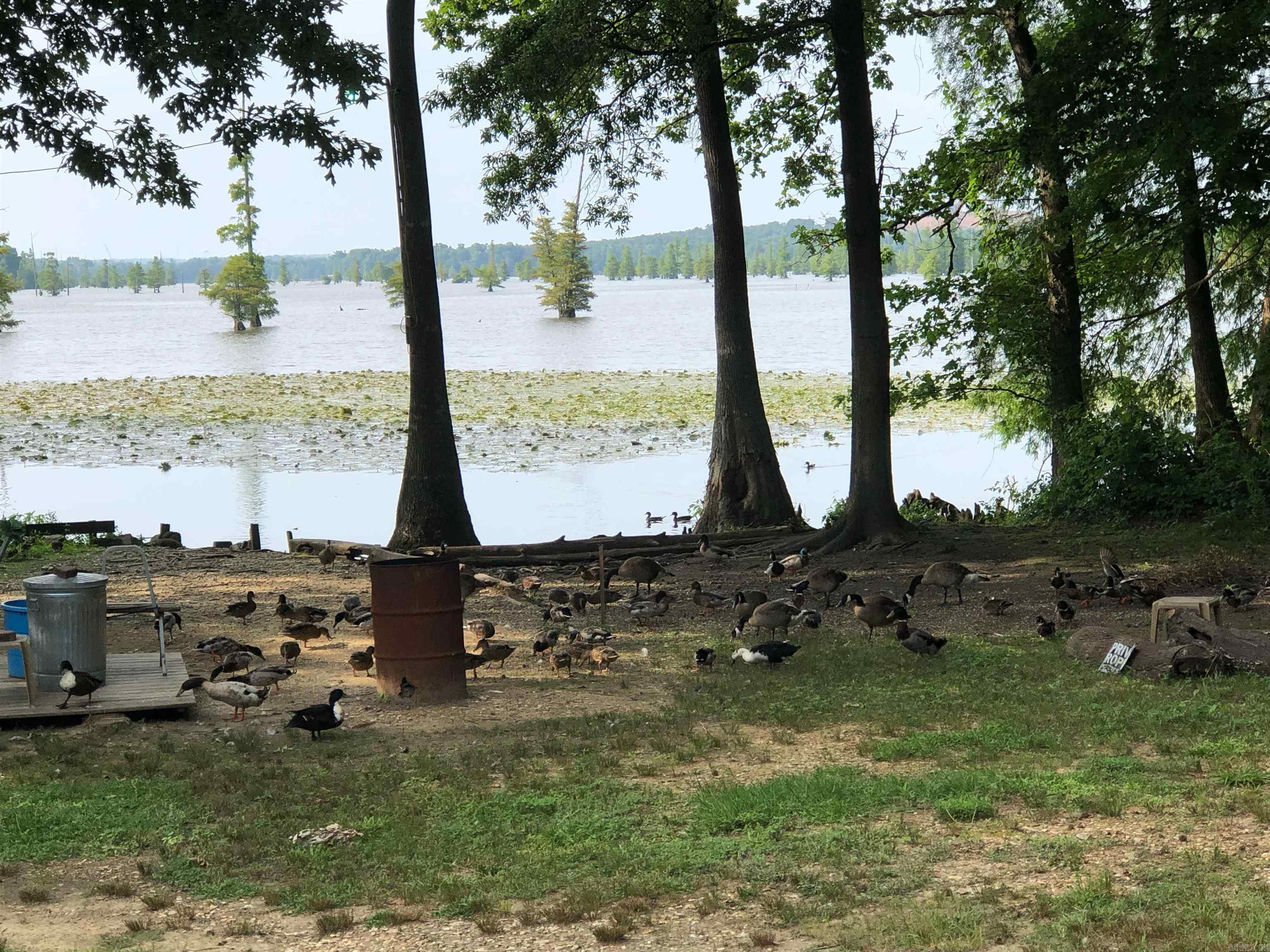 Gold Lake Club #2 - Residential
